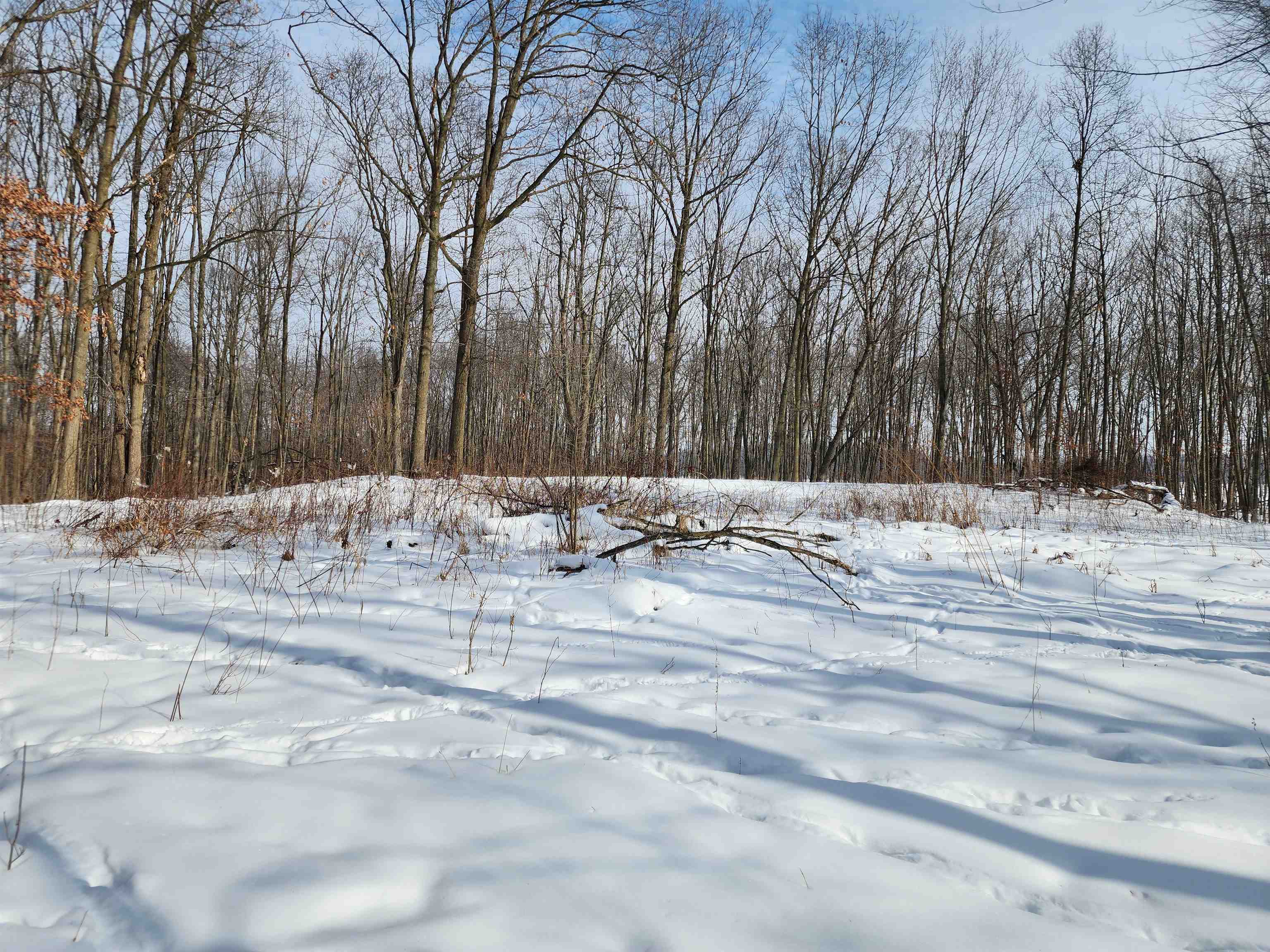 33 Acres S Peoples Road photo 11