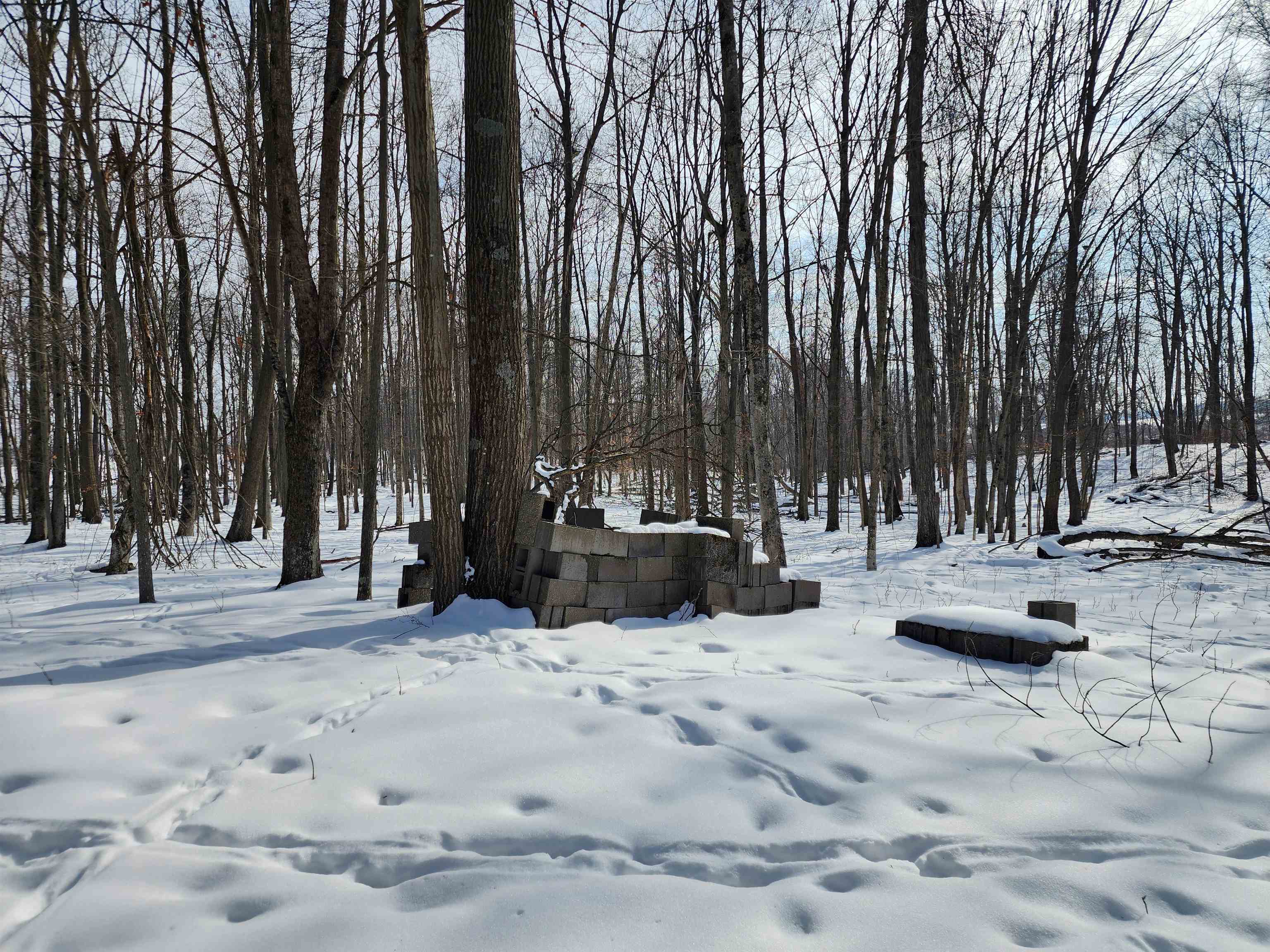 33 Acres S Peoples Road photo 12
