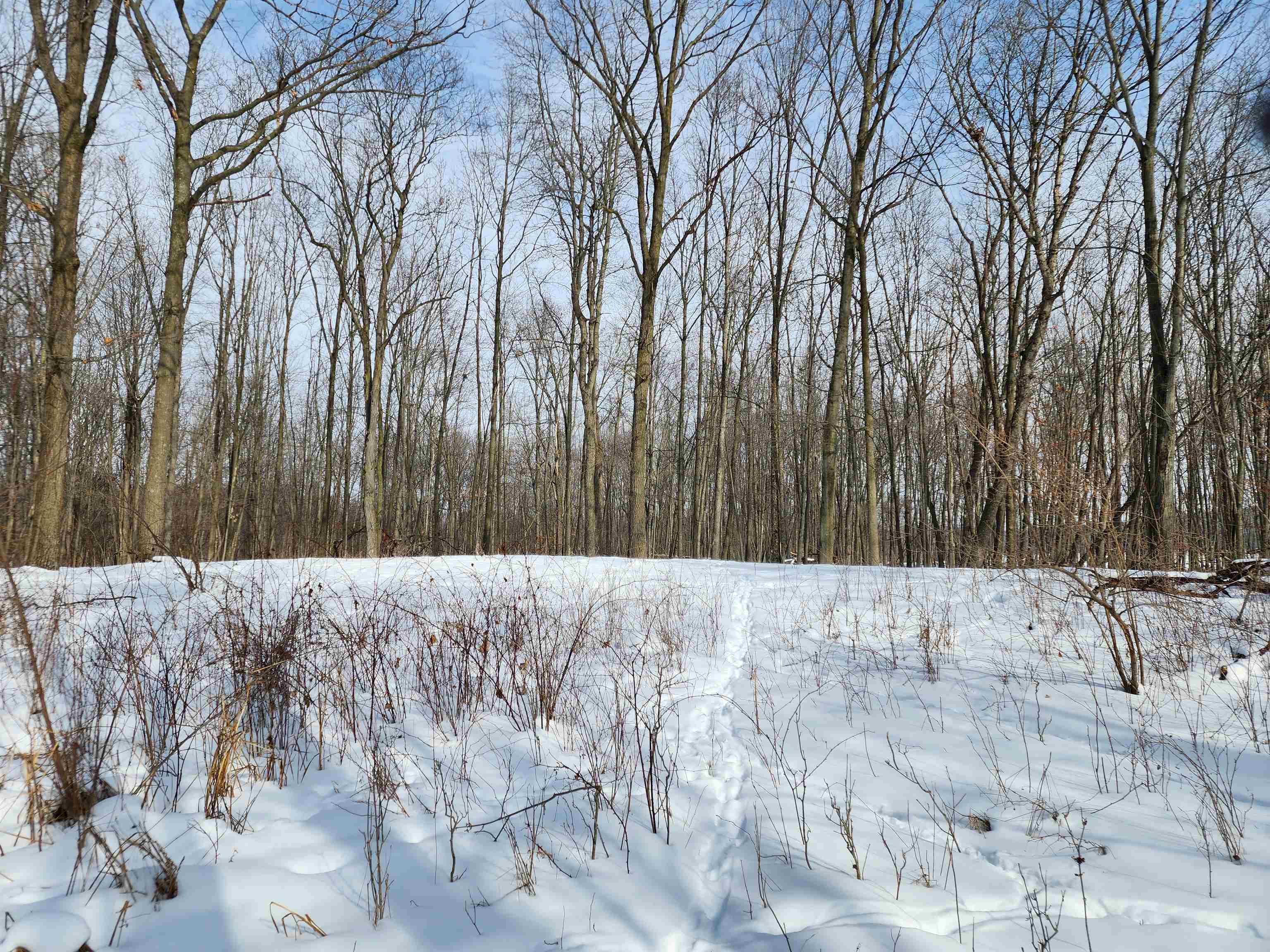 33 Acres S Peoples Road photo 13