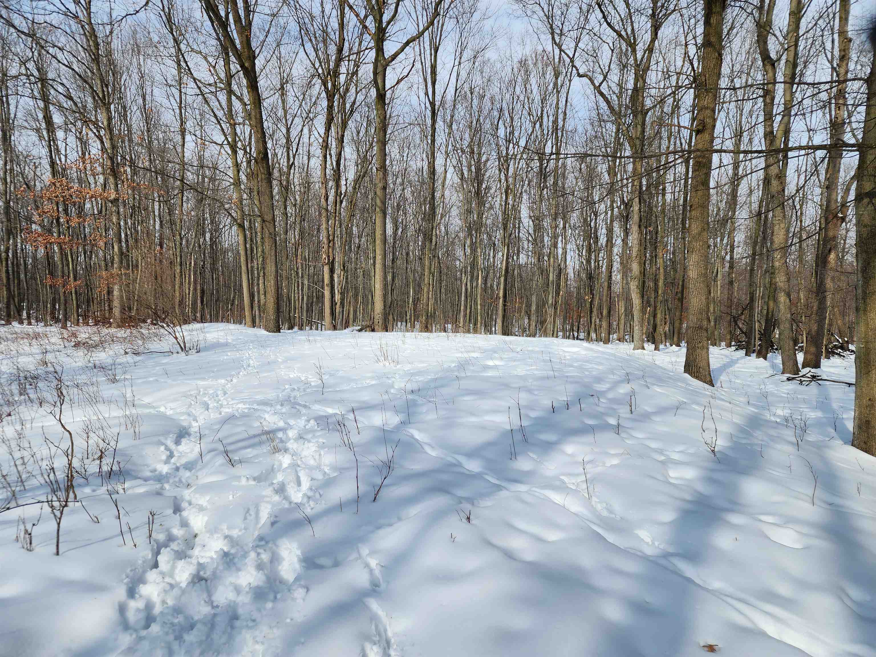 33 Acres S Peoples Road photo 14
