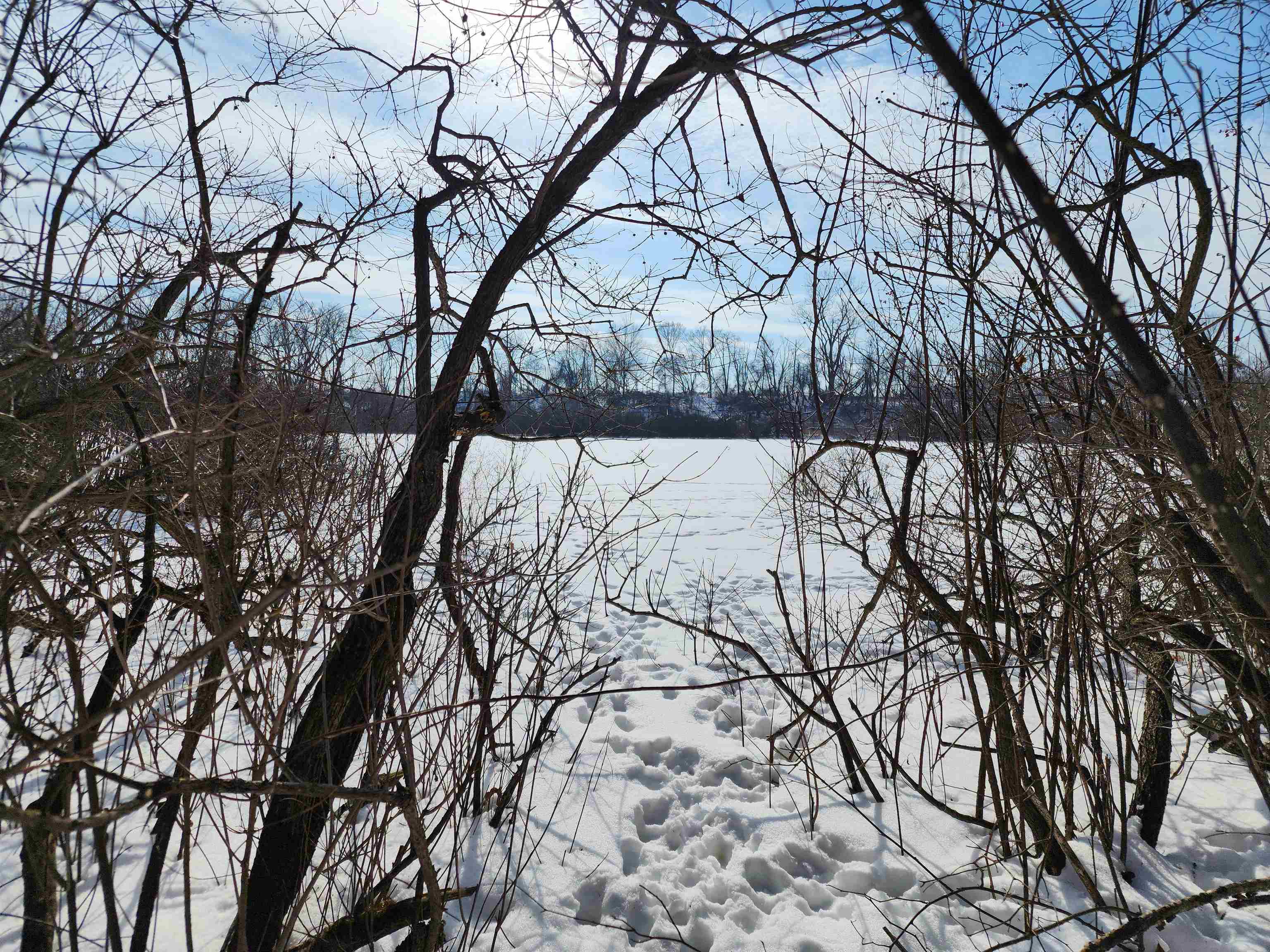 33 Acres S Peoples Road photo 16