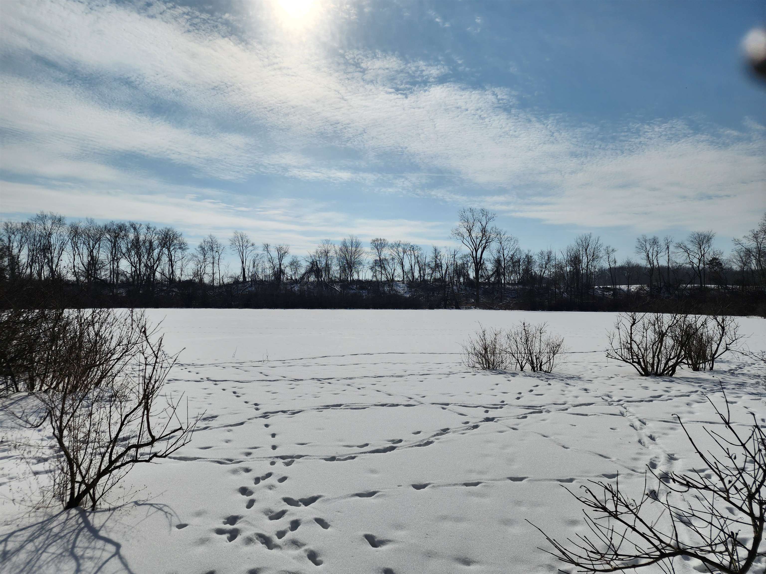 33 Acres S Peoples Road photo 17
