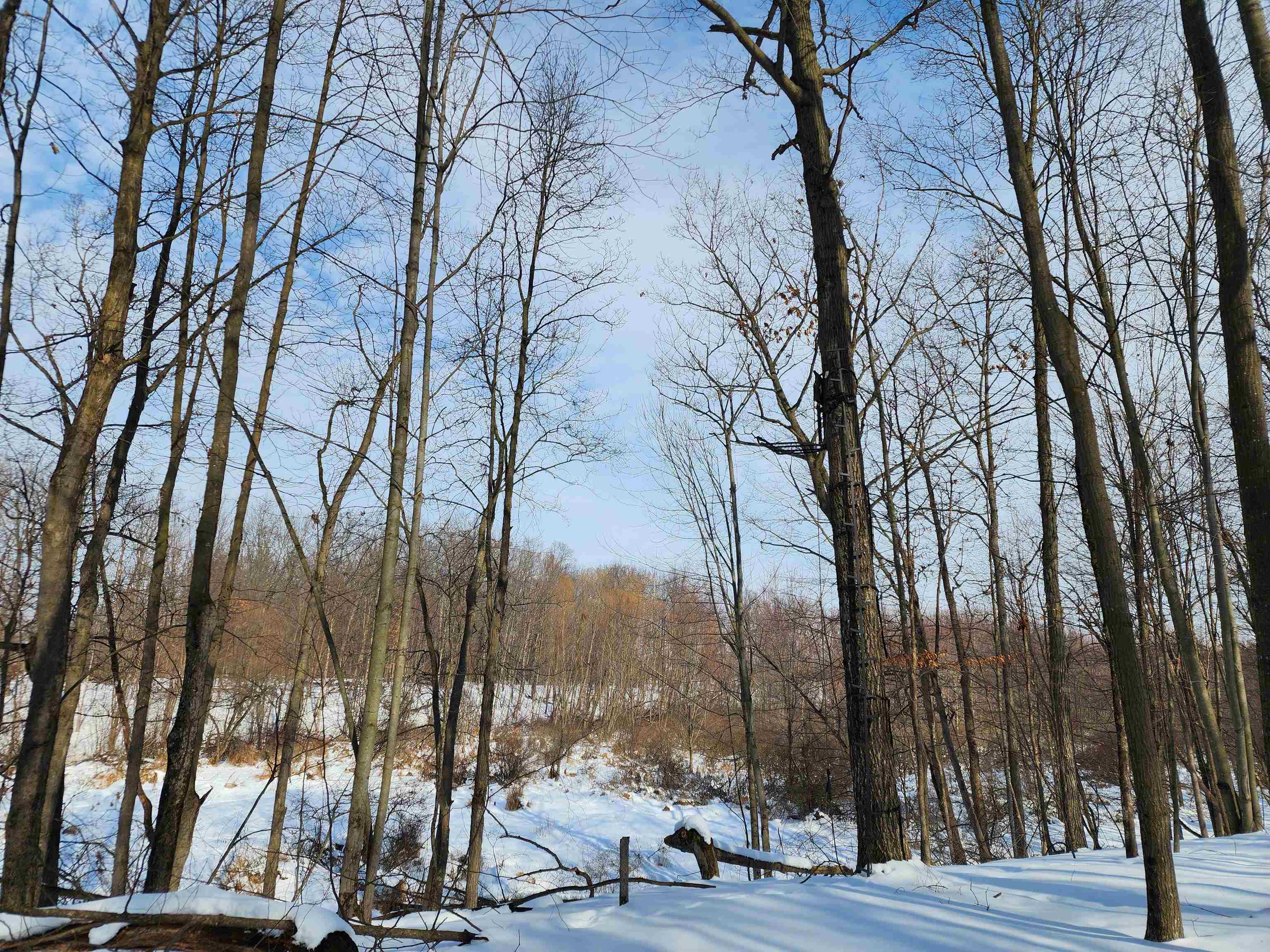 33 Acres S Peoples Road photo 18