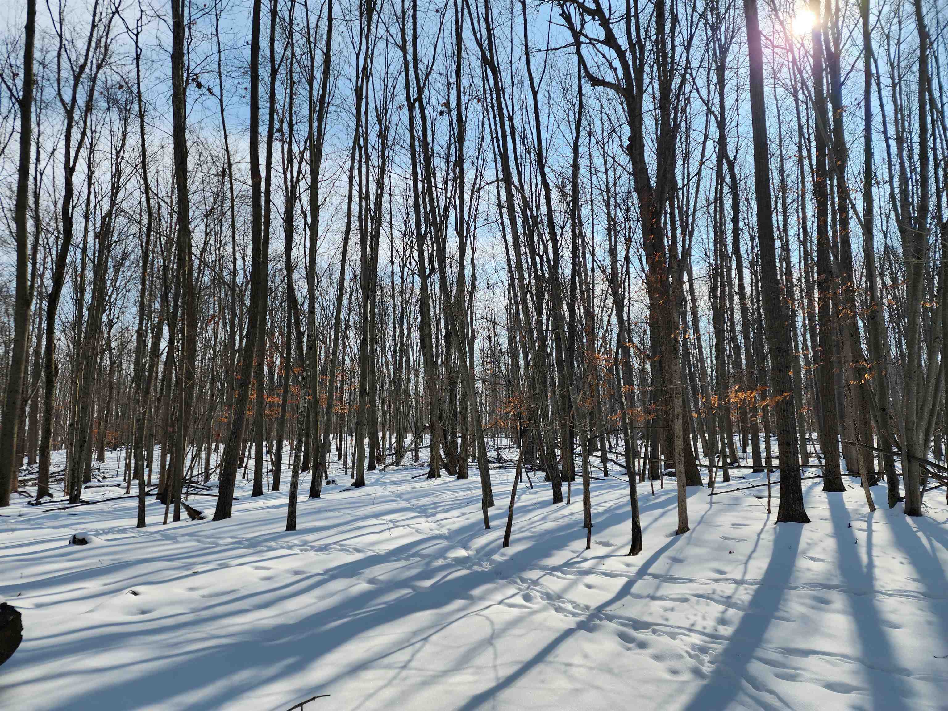 33 Acres S Peoples Road photo 19