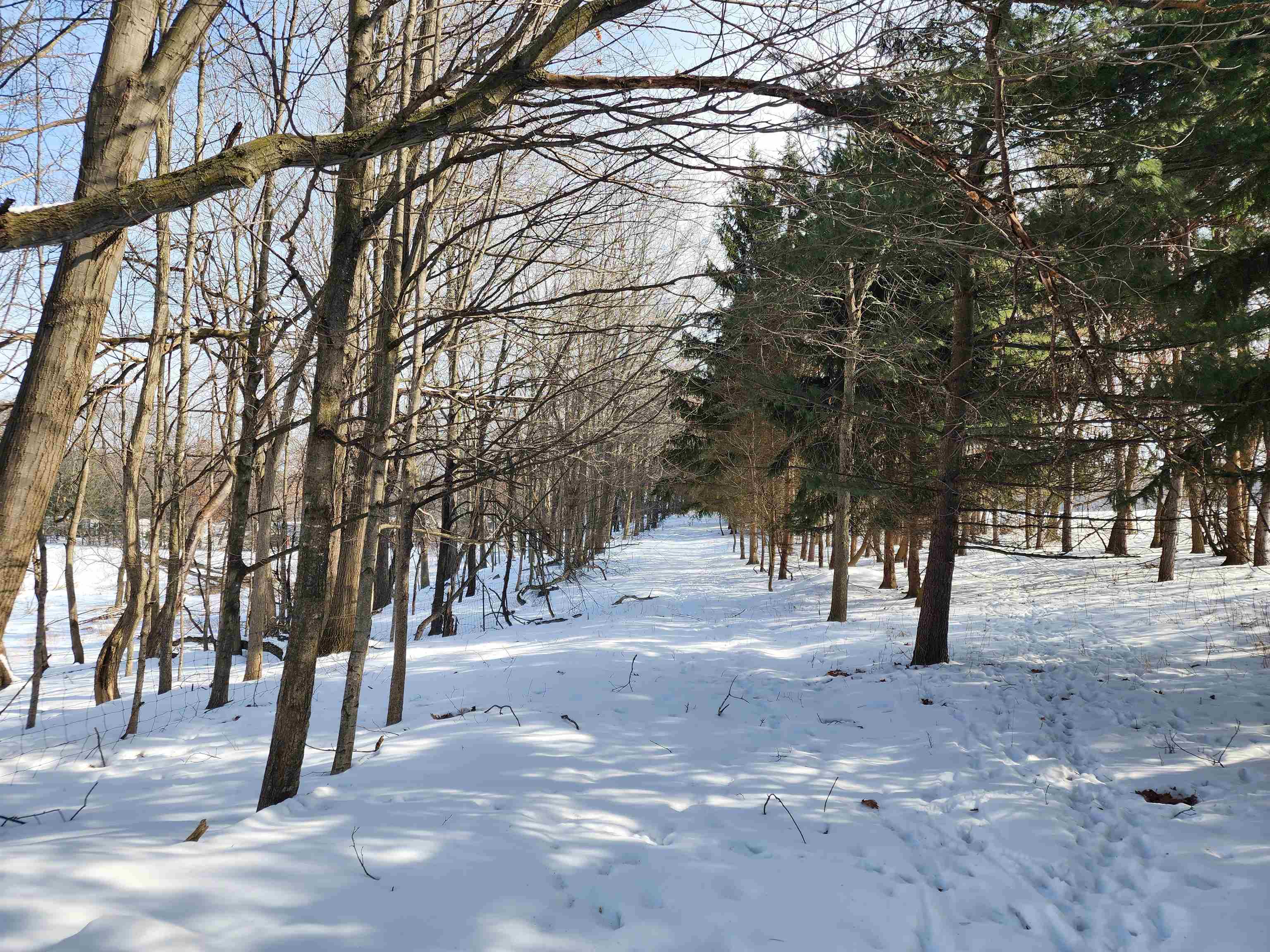 33 Acres S Peoples Road photo 4