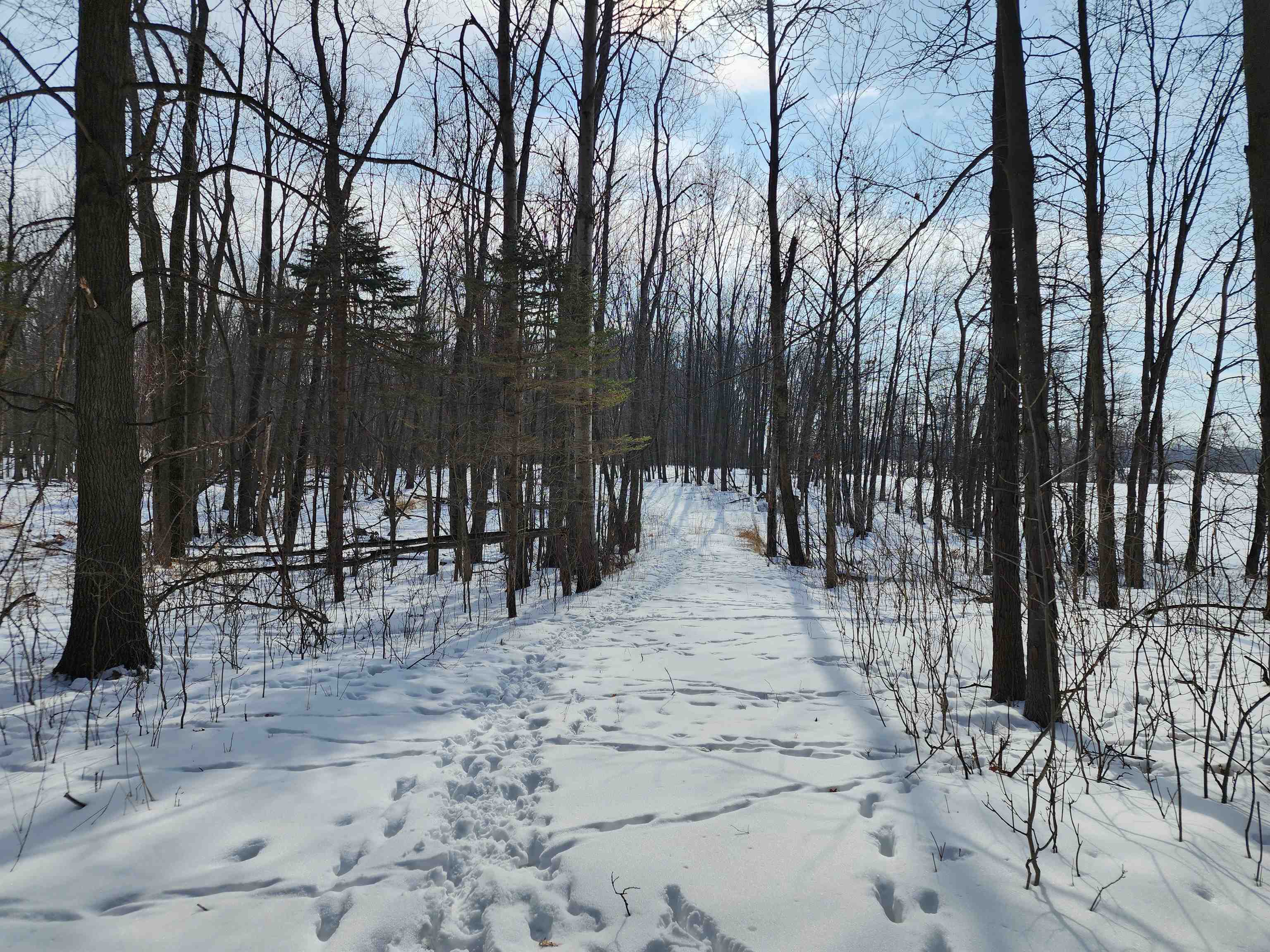 33 Acres S Peoples Road photo 6