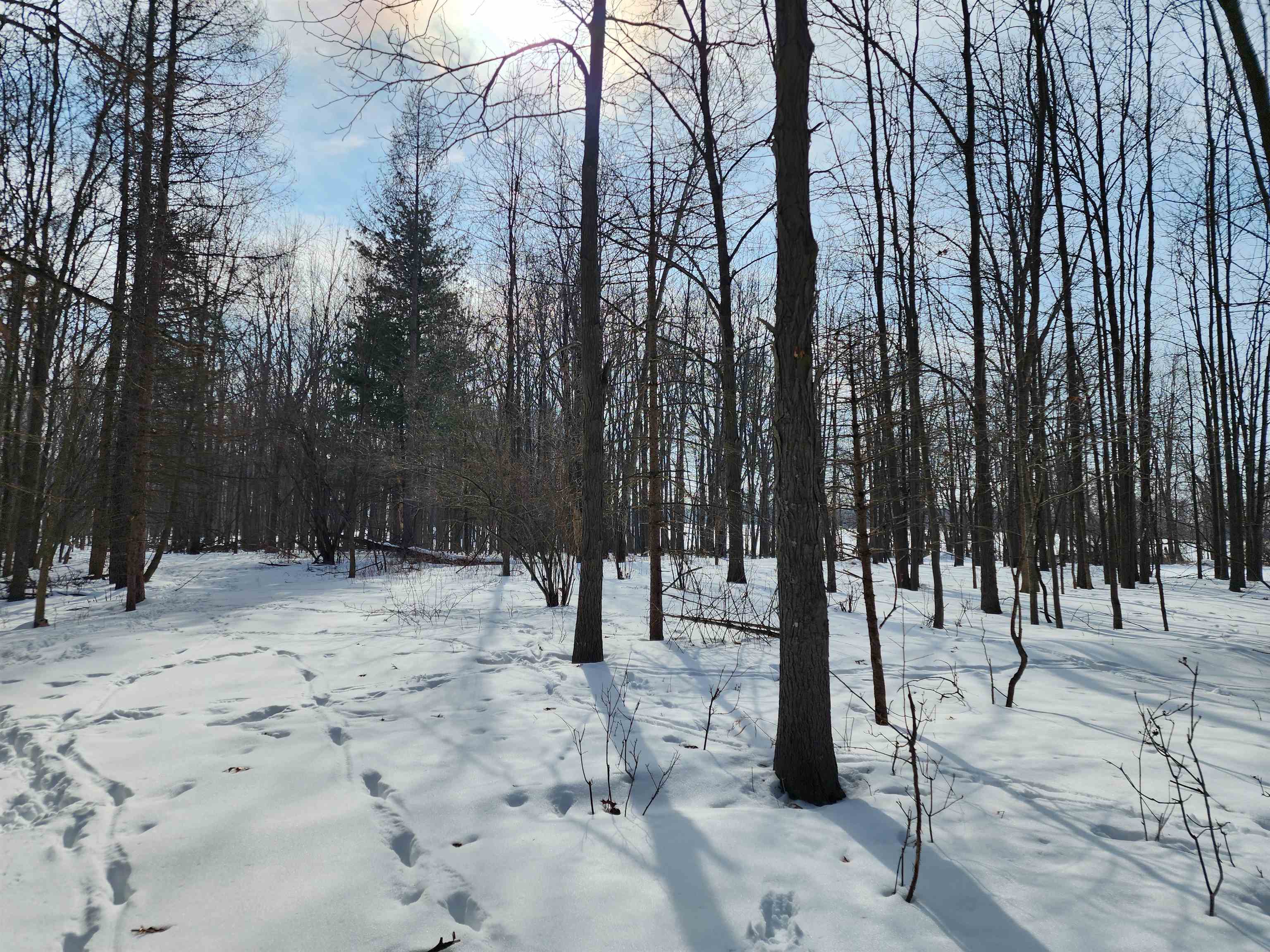 33 Acres S Peoples Road photo 7