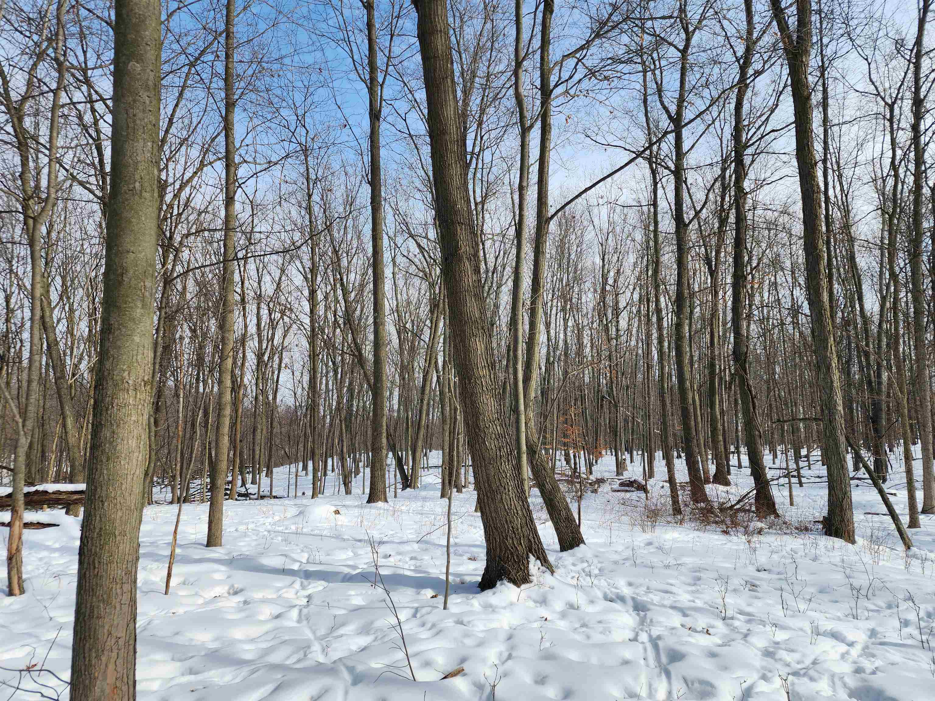 33 Acres S Peoples Road photo 8