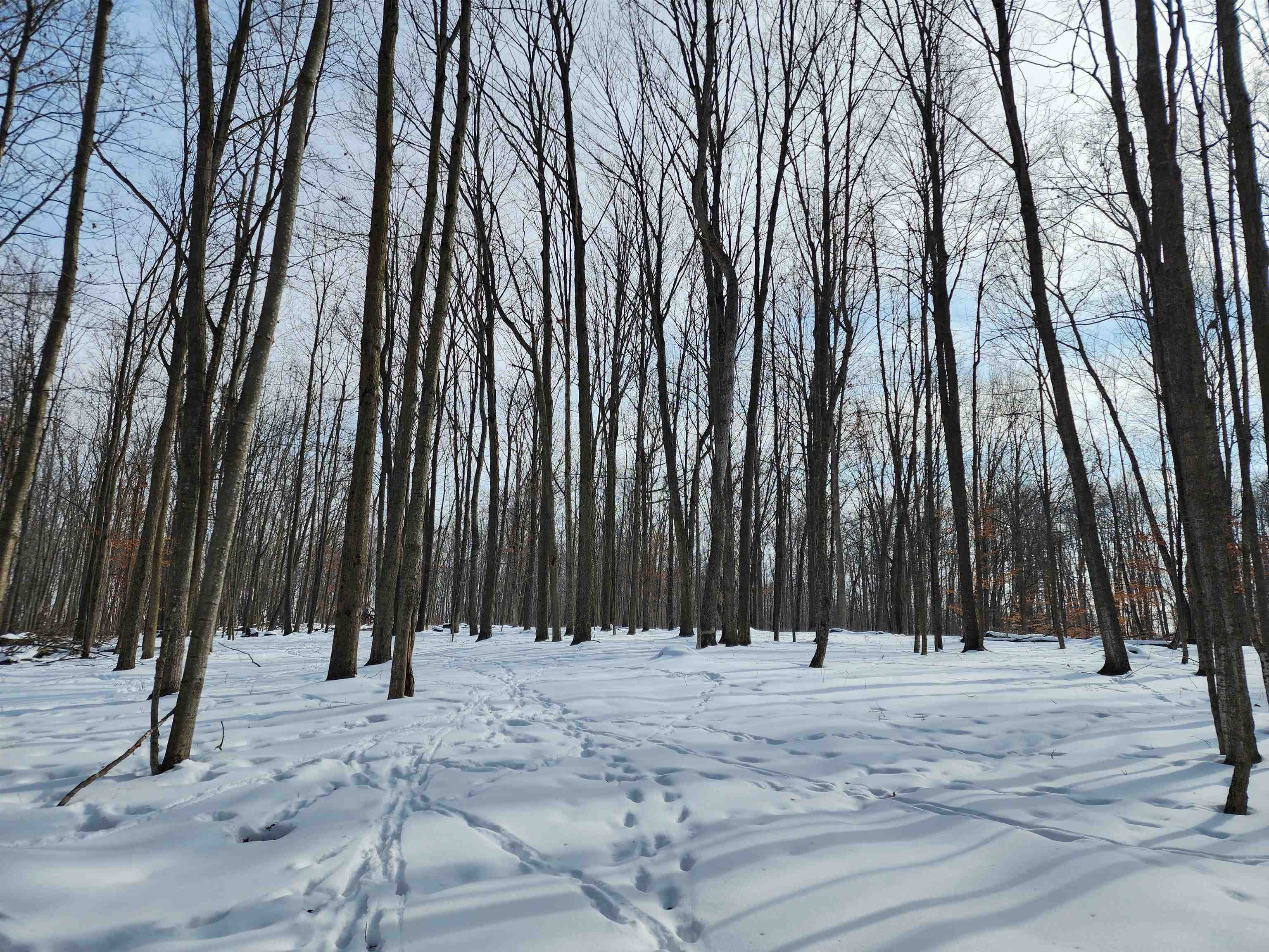 33 Acres S Peoples Road photo 9