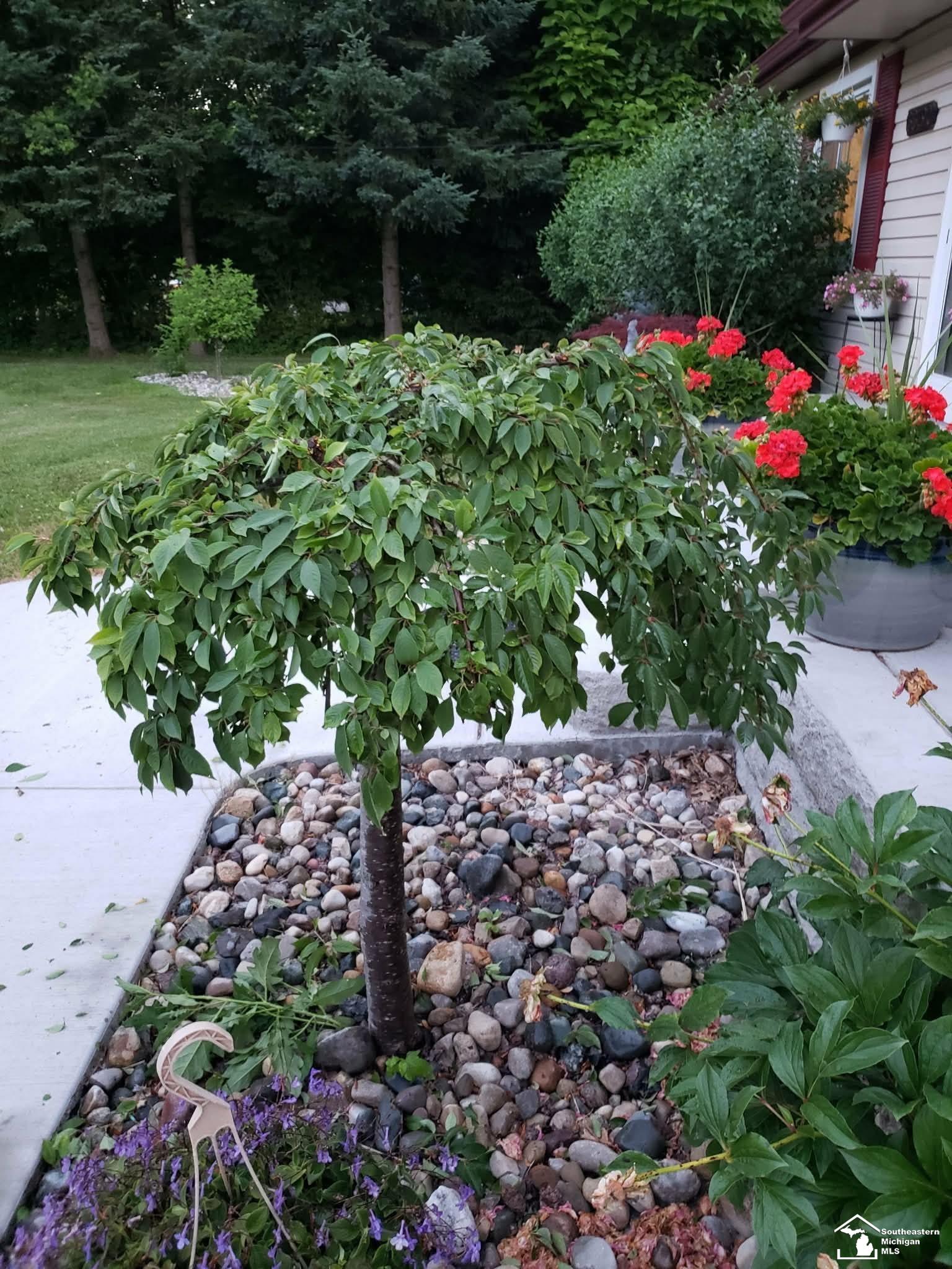 New Boston, MI, 48164