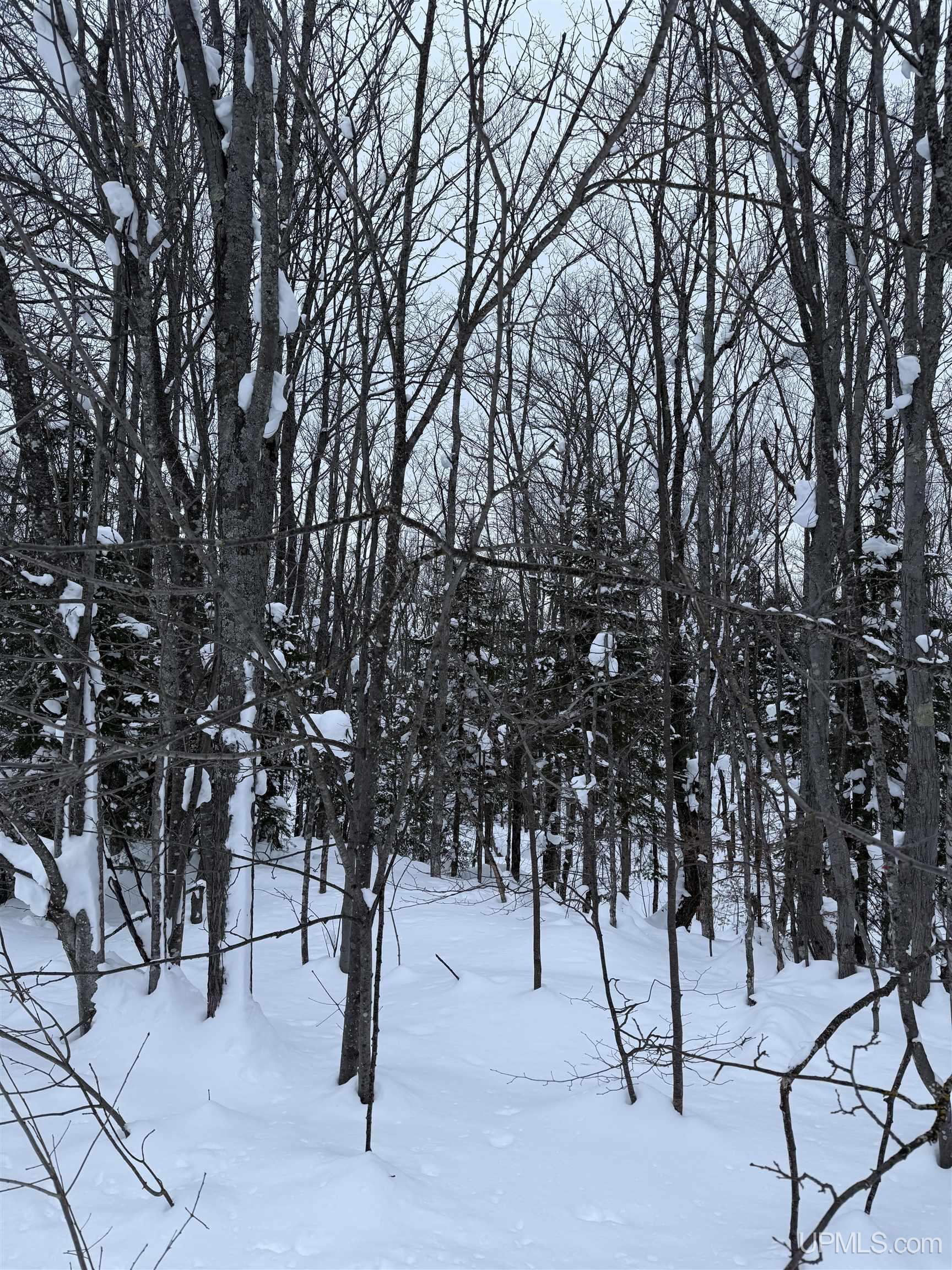 TBD 3-10 Firesteel Road, Ontonagon, MI, 49953