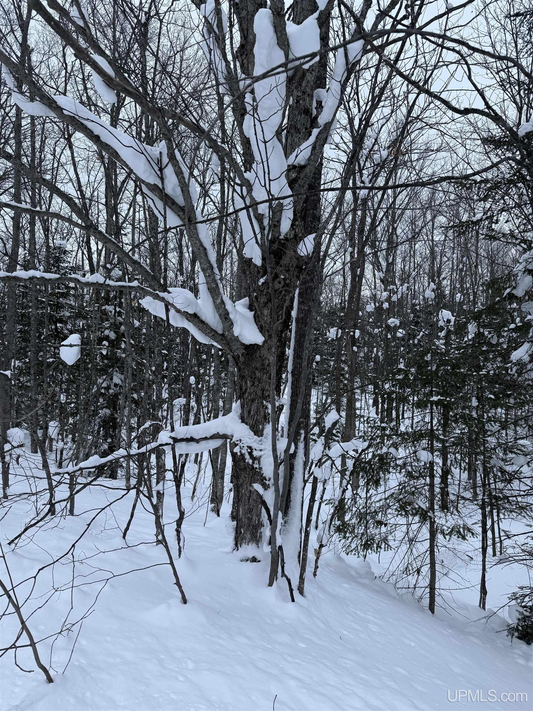 TBD 3-10 Firesteel Road, Ontonagon, MI, 49953