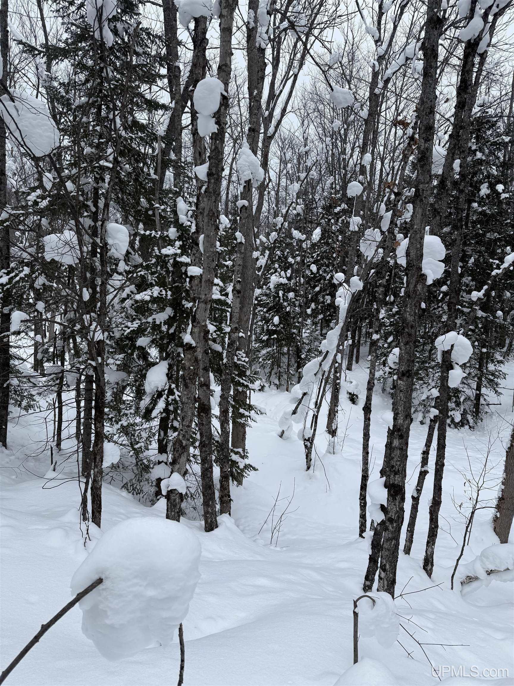 TBD 3-10 Firesteel Road, Ontonagon, MI, 49953