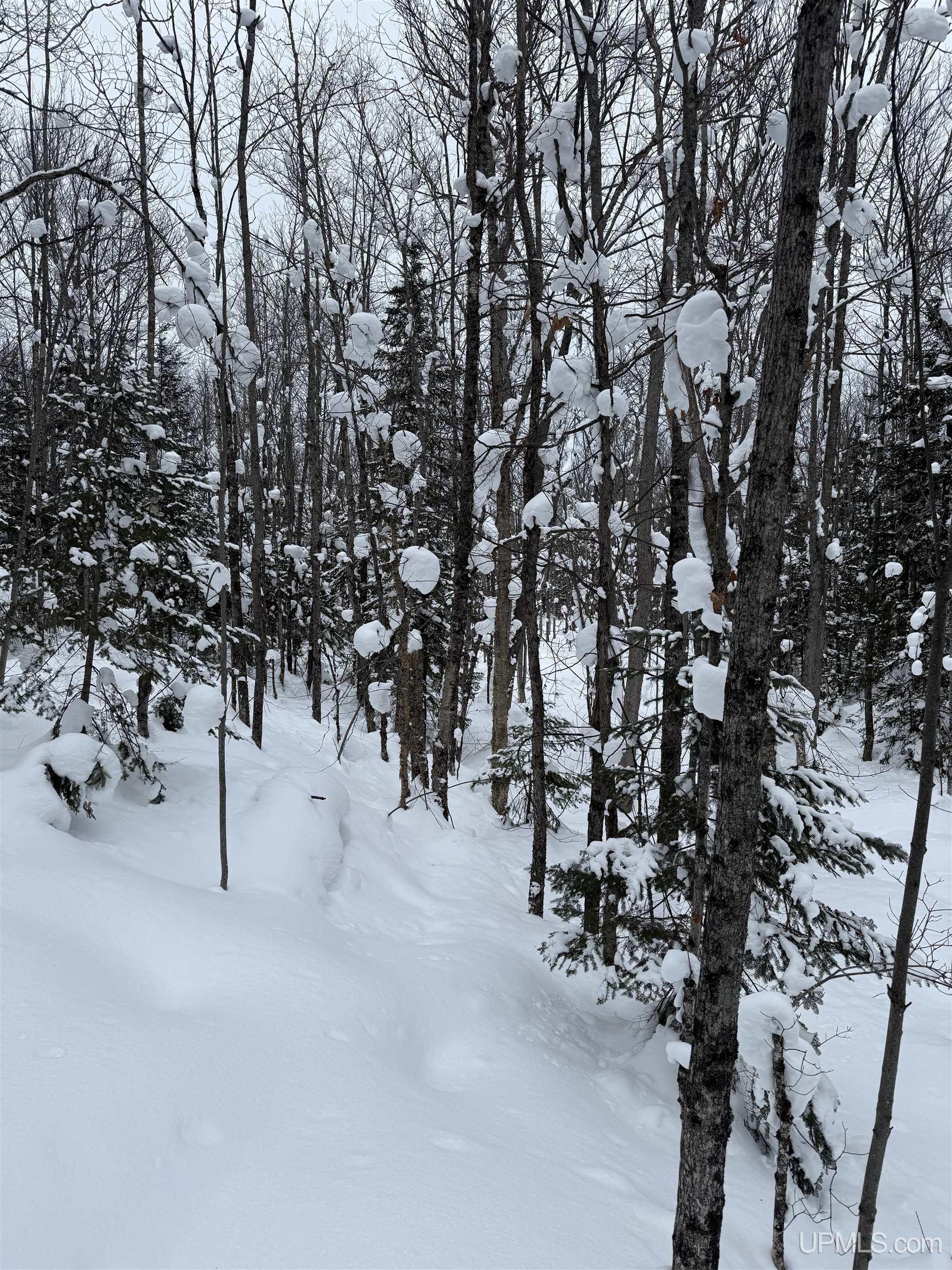 TBD 3-10 Firesteel Road, Ontonagon, MI, 49953