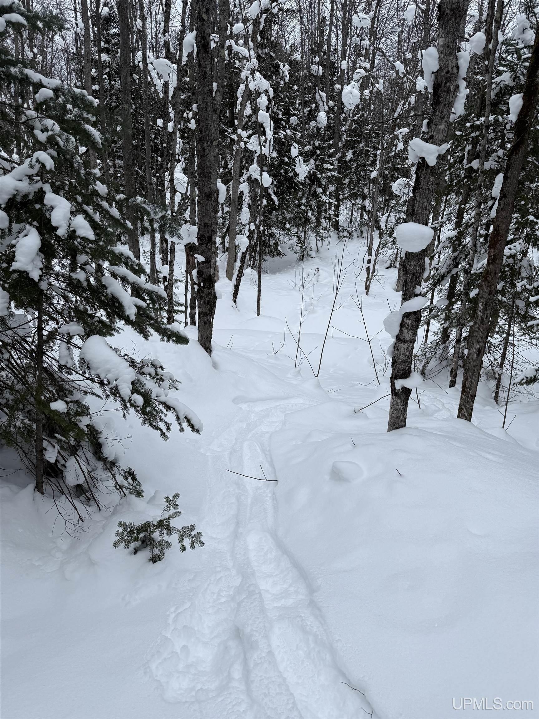 TBD 3-10 Firesteel Road, Ontonagon, MI, 49953