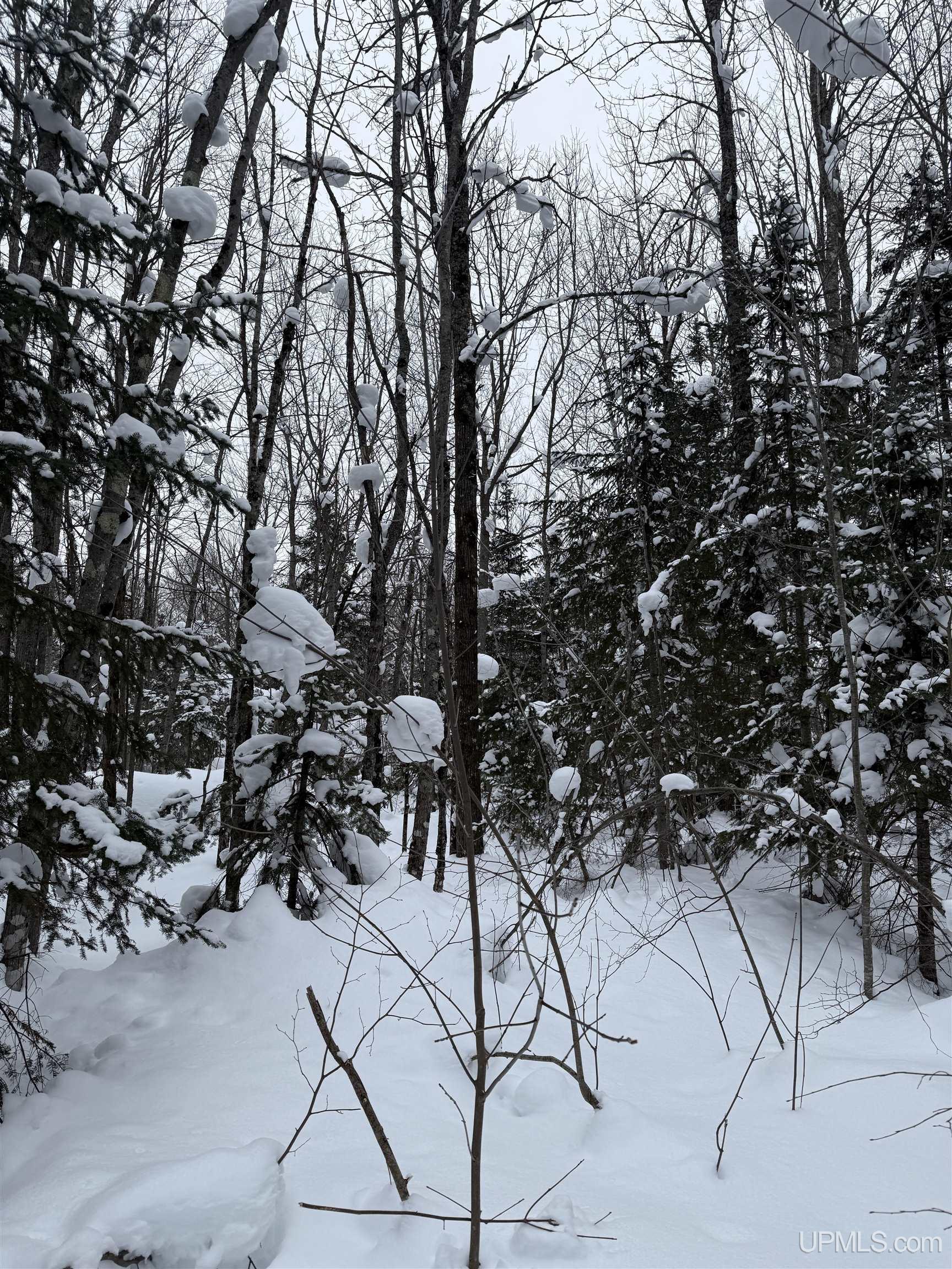 TBD 3-10 Firesteel Road, Ontonagon, MI, 49953