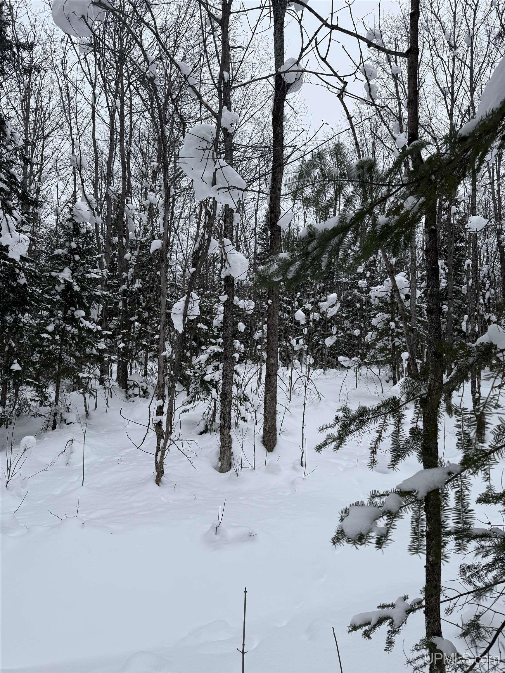 TBD 3-10 Firesteel Road, Ontonagon, MI, 49953