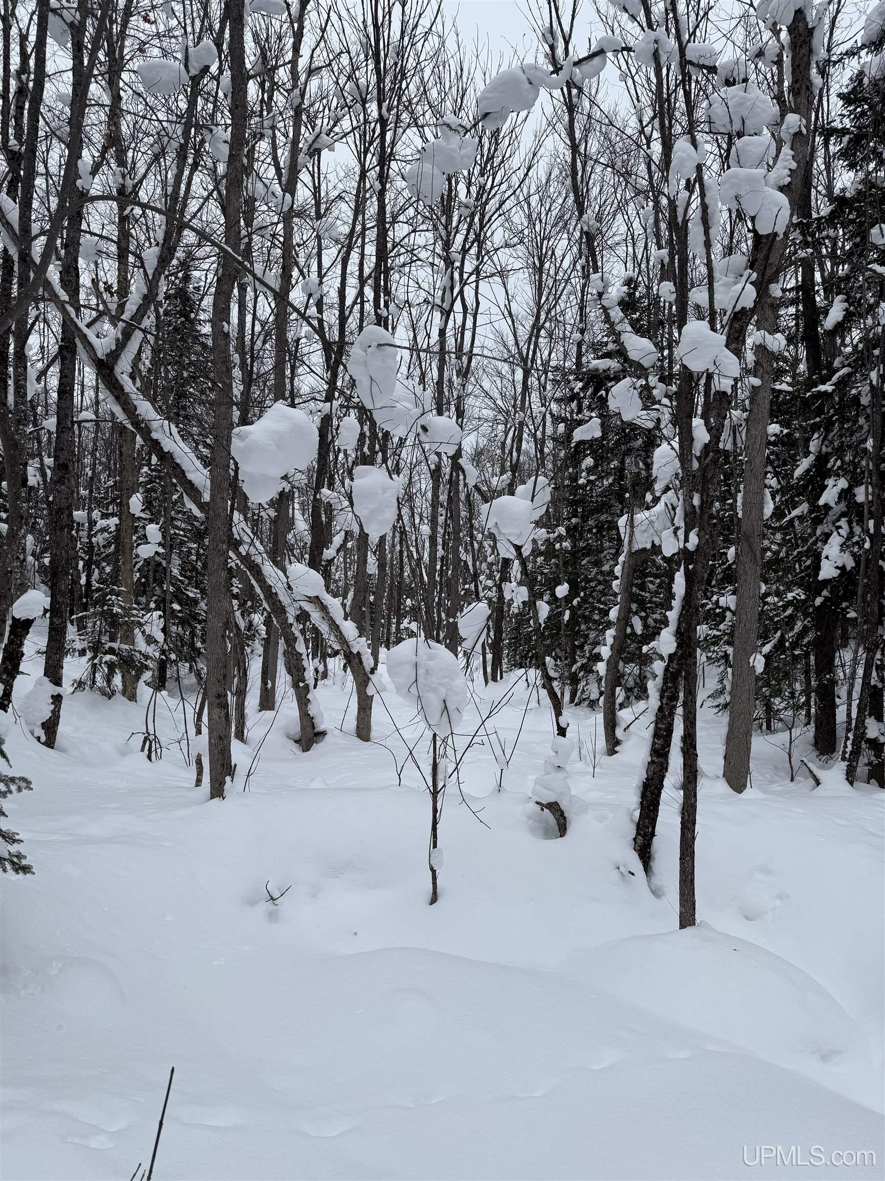 Homes for sale in Ontonagon, MI | Tbd 3 10 Firesteel Rd, Ontonagon, MI 49953 | MLS# 50199656