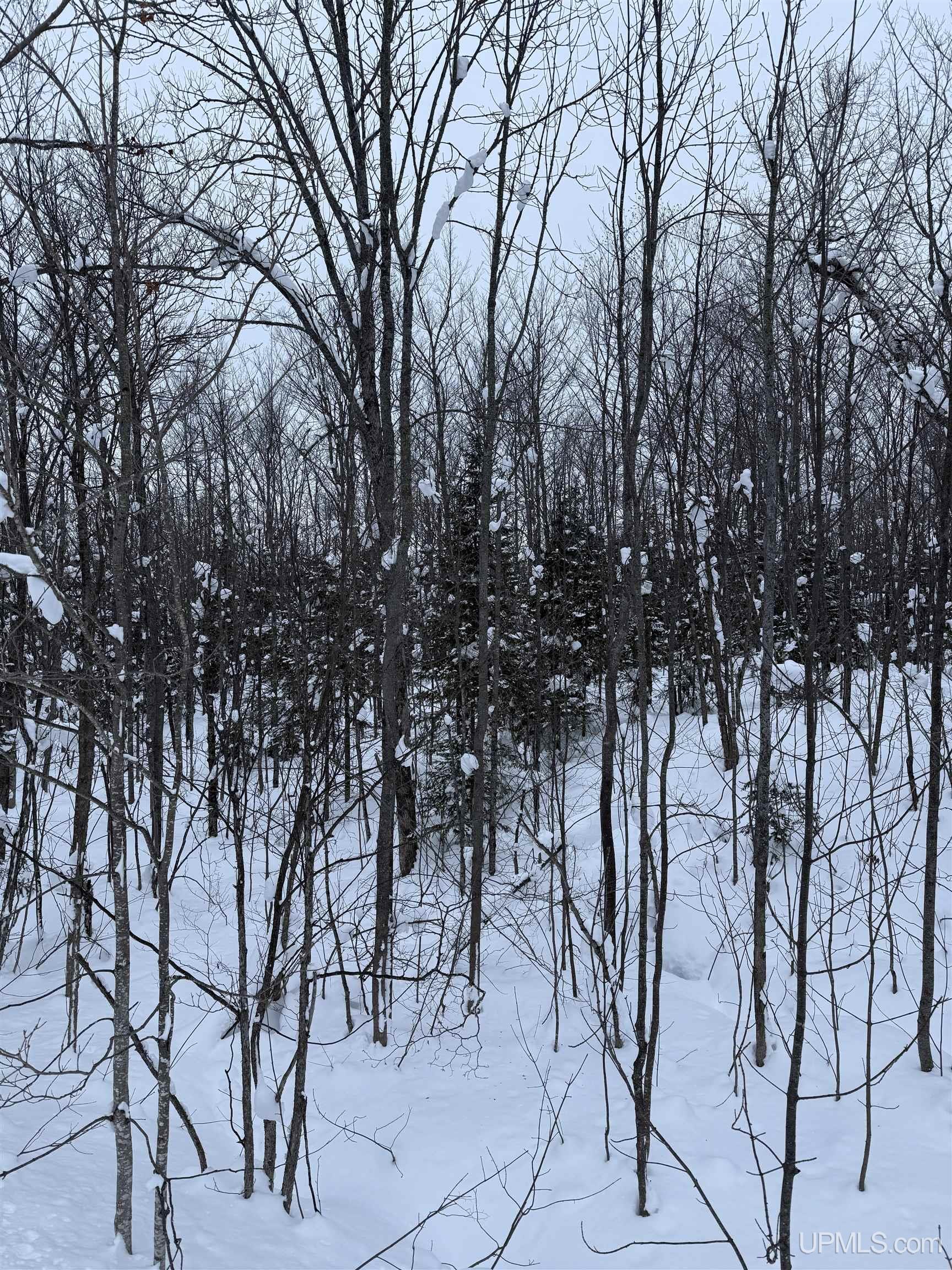 TBD 3-10 Firesteel Road, Ontonagon, MI, 49953