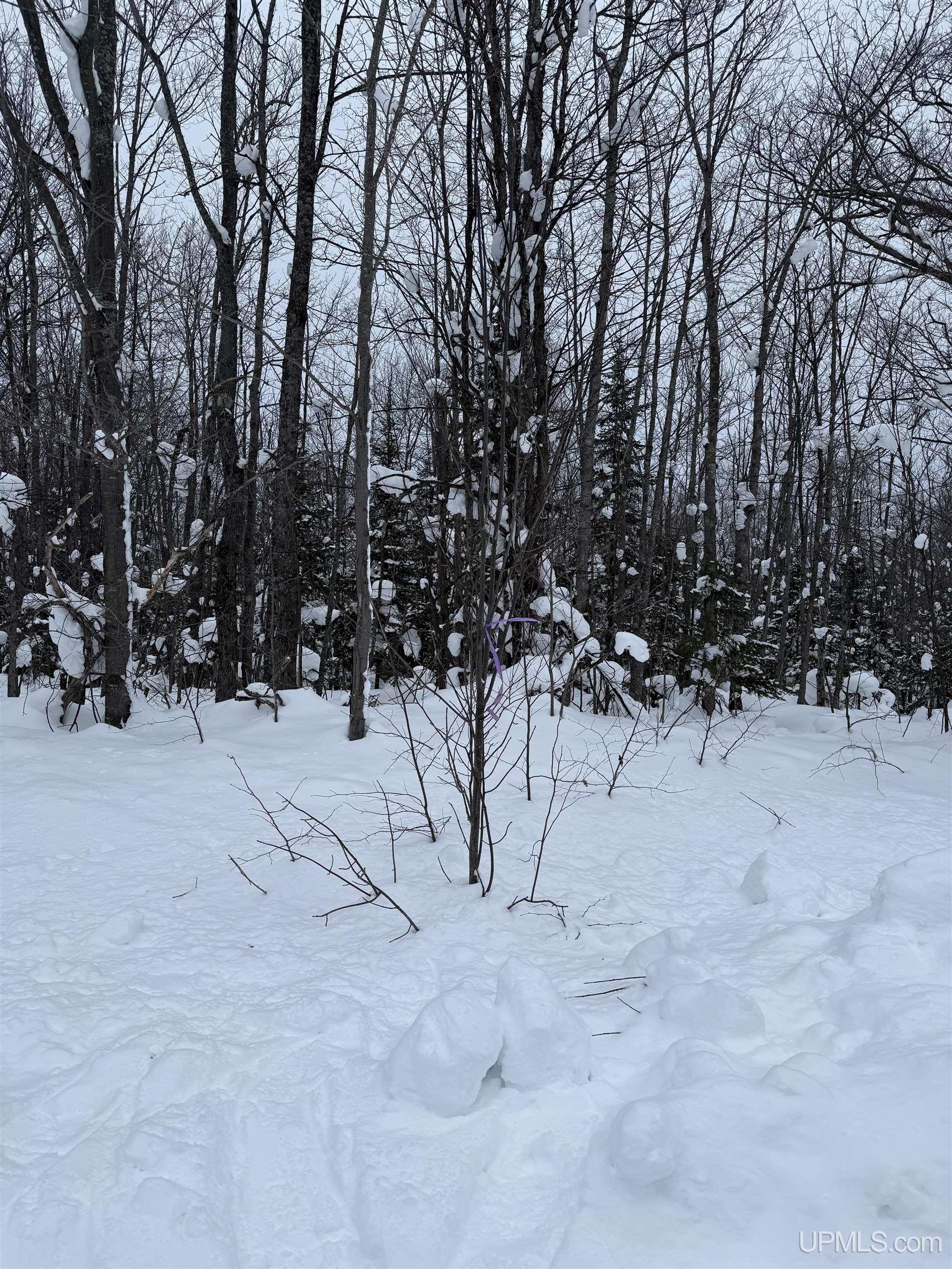 TBD 3-10 Firesteel Road, Ontonagon, MI, 49953