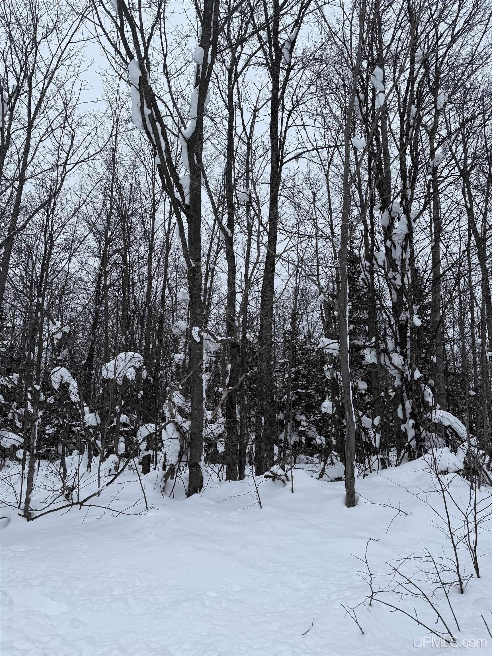 TBD 3-10 Firesteel Road, Ontonagon, MI, 49953