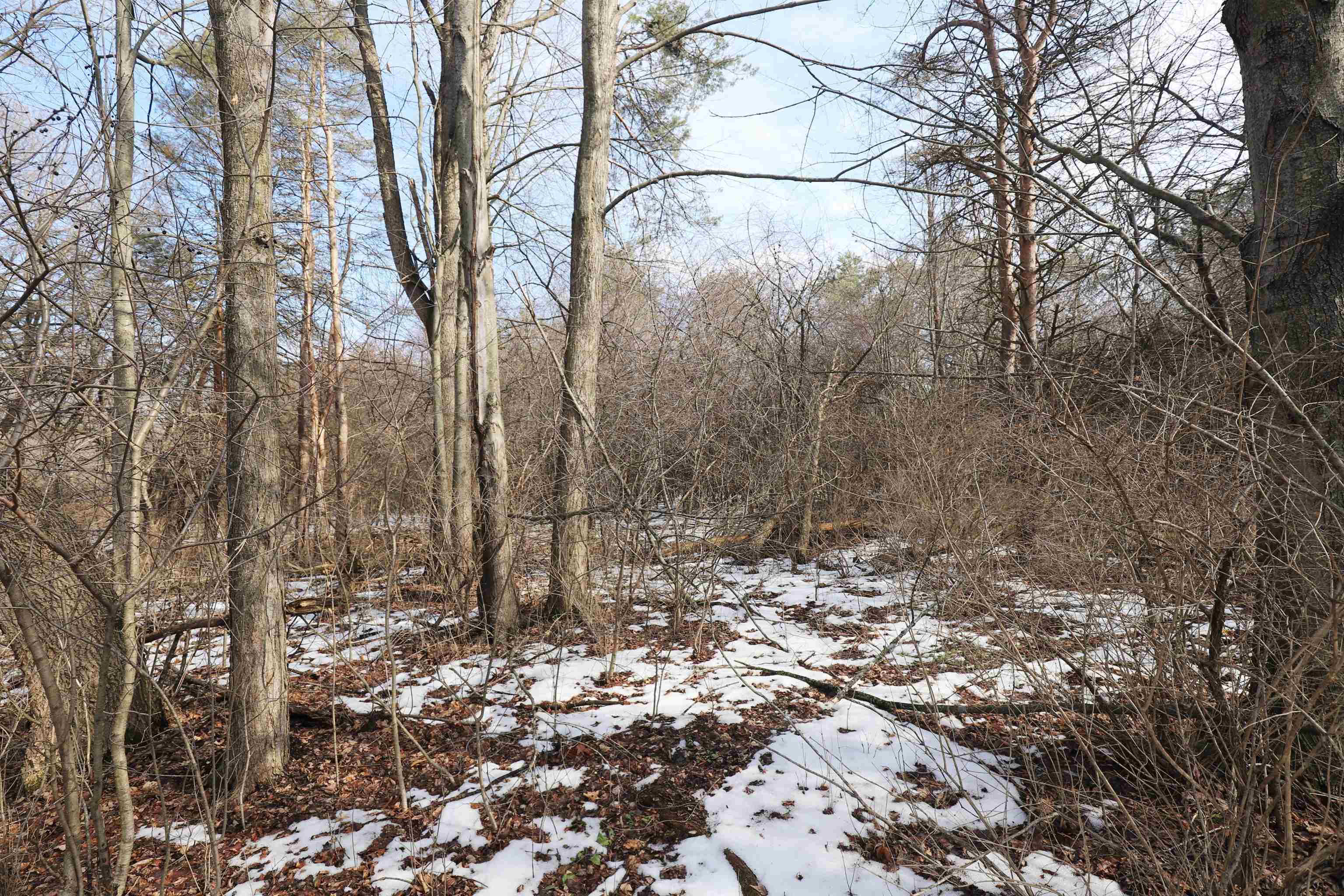 4298 N Center, Genesee Twp, MI 48506 Photo