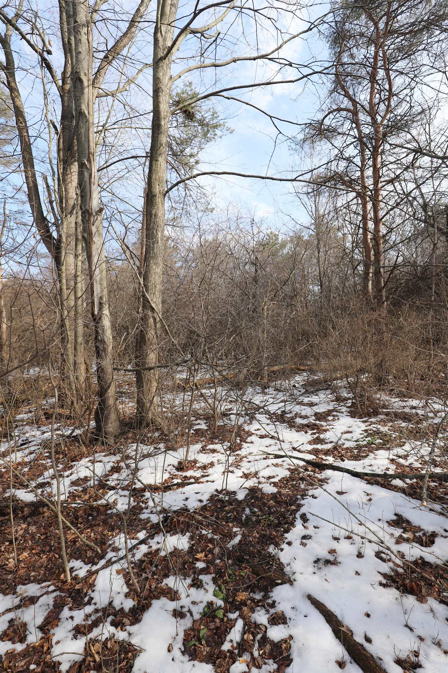 4298 N Center, Genesee Twp, MI 48506 Photo