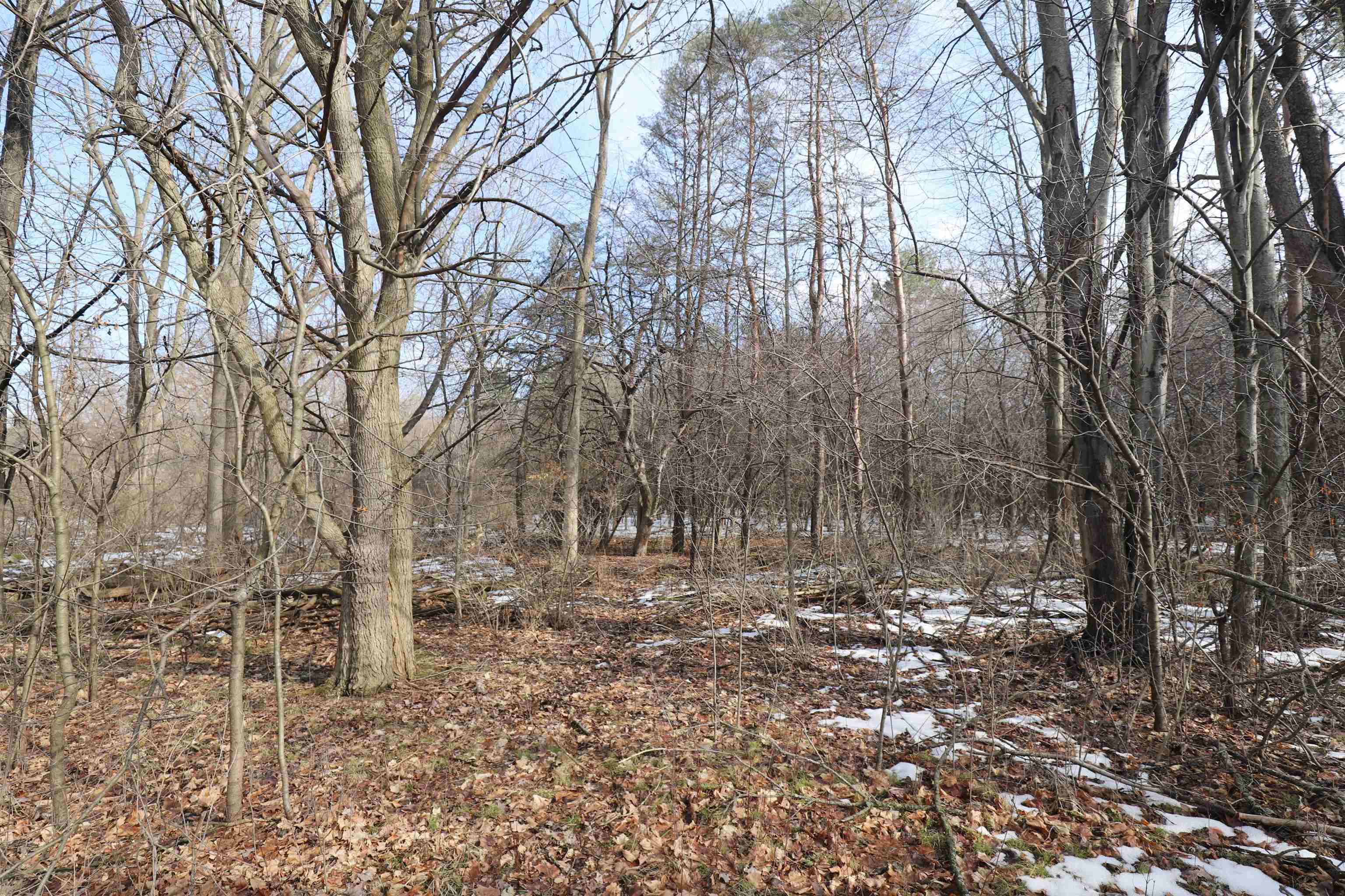 4298 N Center, Genesee Twp, MI 48506 Photo