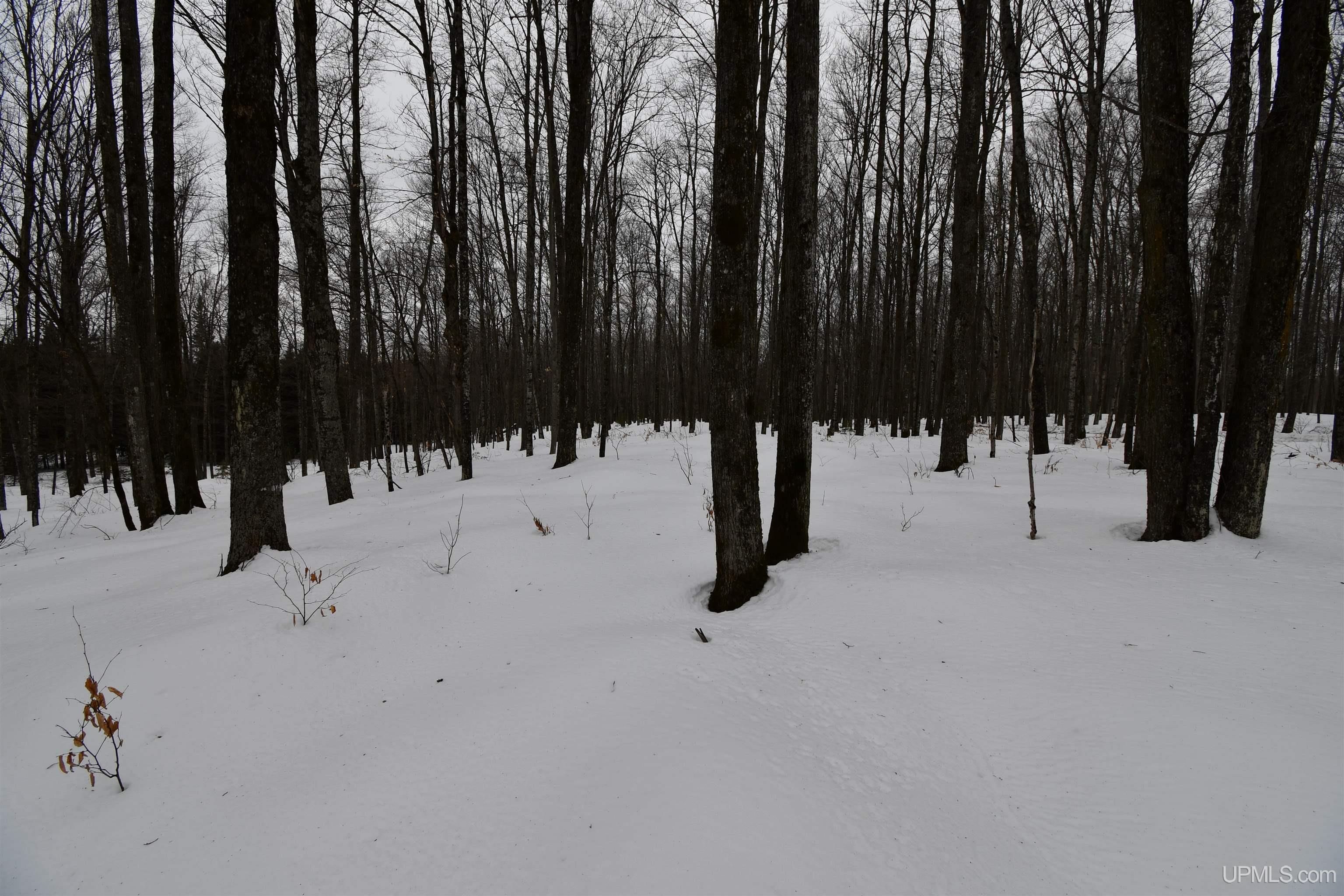 TBD County Line Road, Hardwood, MI, 49807