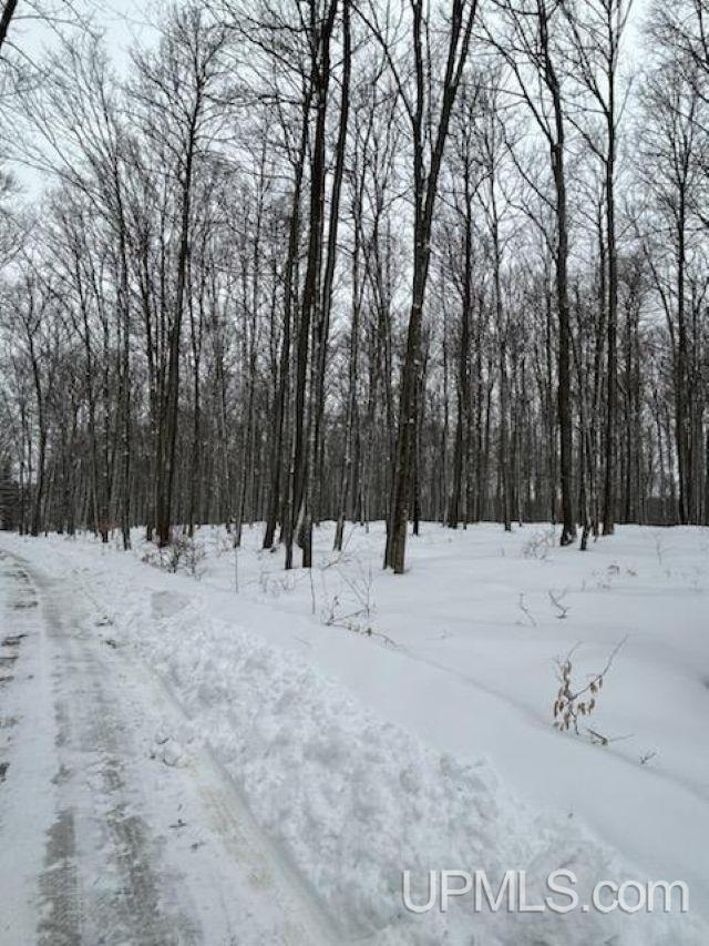 TBD County Line Road, Hardwood, MI, 49807