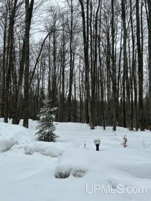 TBD County Line Road, Hardwood, MI, 49807