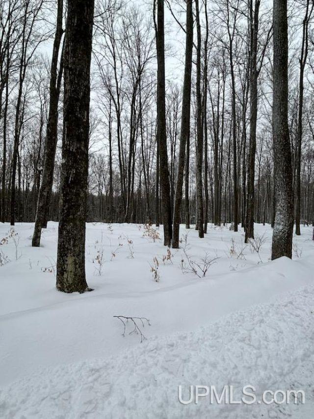 TBD County Line Road, Hardwood, MI, 49807