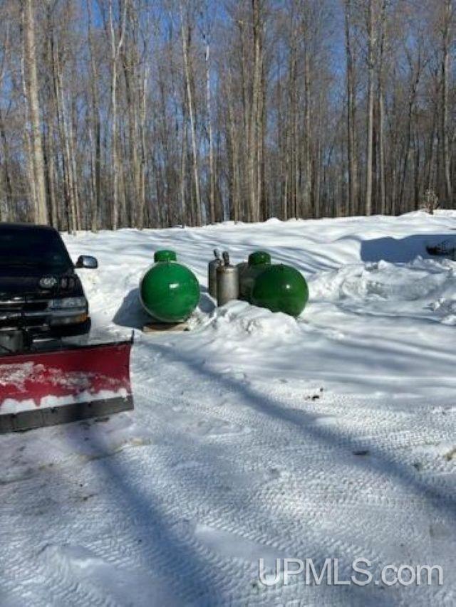 TBD County Line Road, Hardwood, MI, 49807