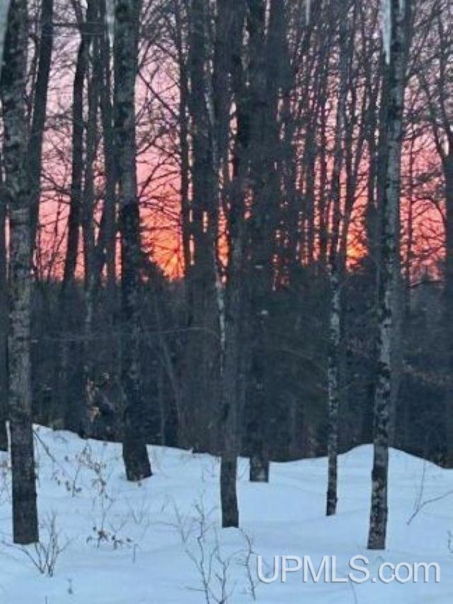 TBD County Line Road, Hardwood, MI, 49807