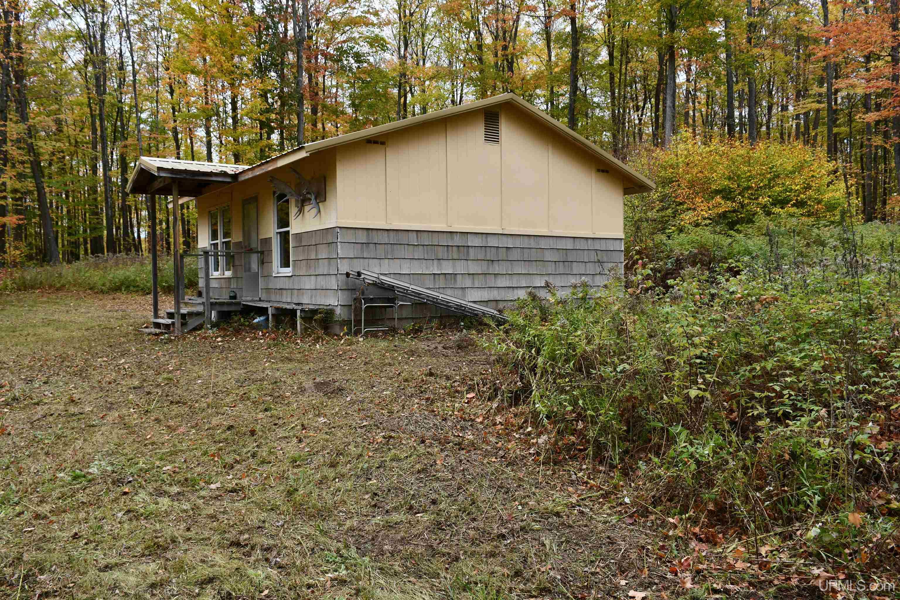 TBD County Line Road, Hardwood, MI, 49807