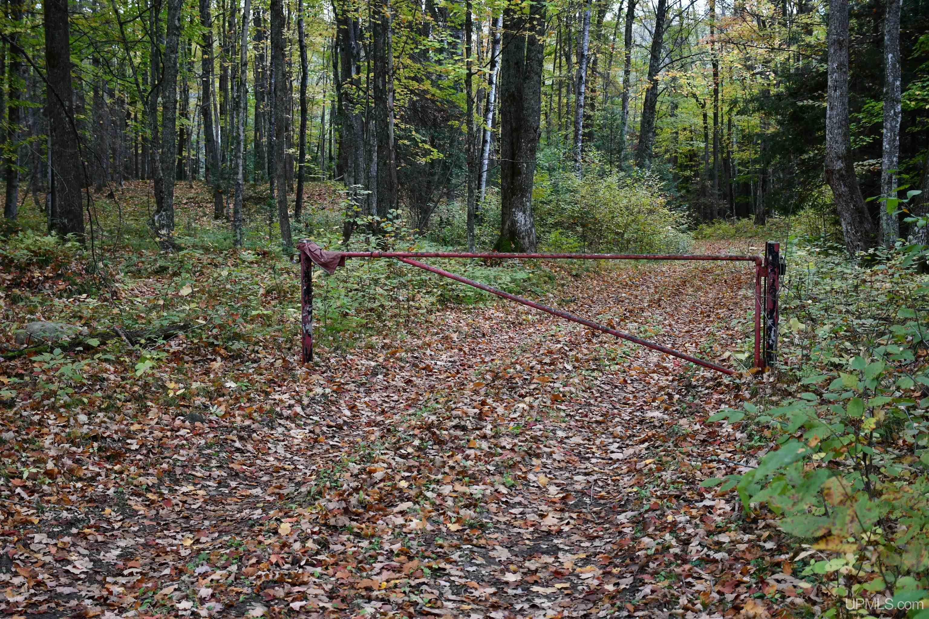 TBD County Line Road, Hardwood, MI, 49807