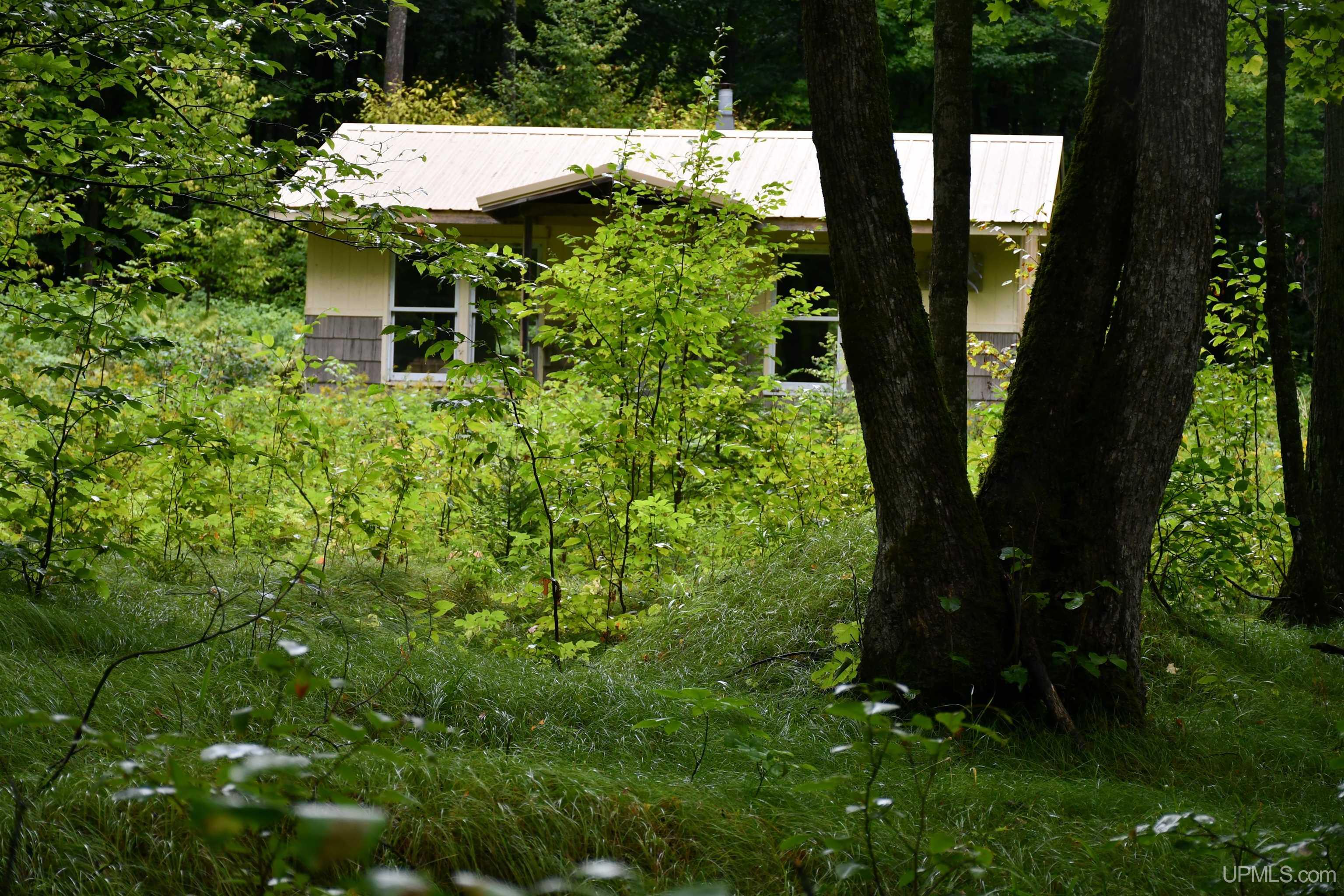 TBD County Line Road, Hardwood, MI, 49807