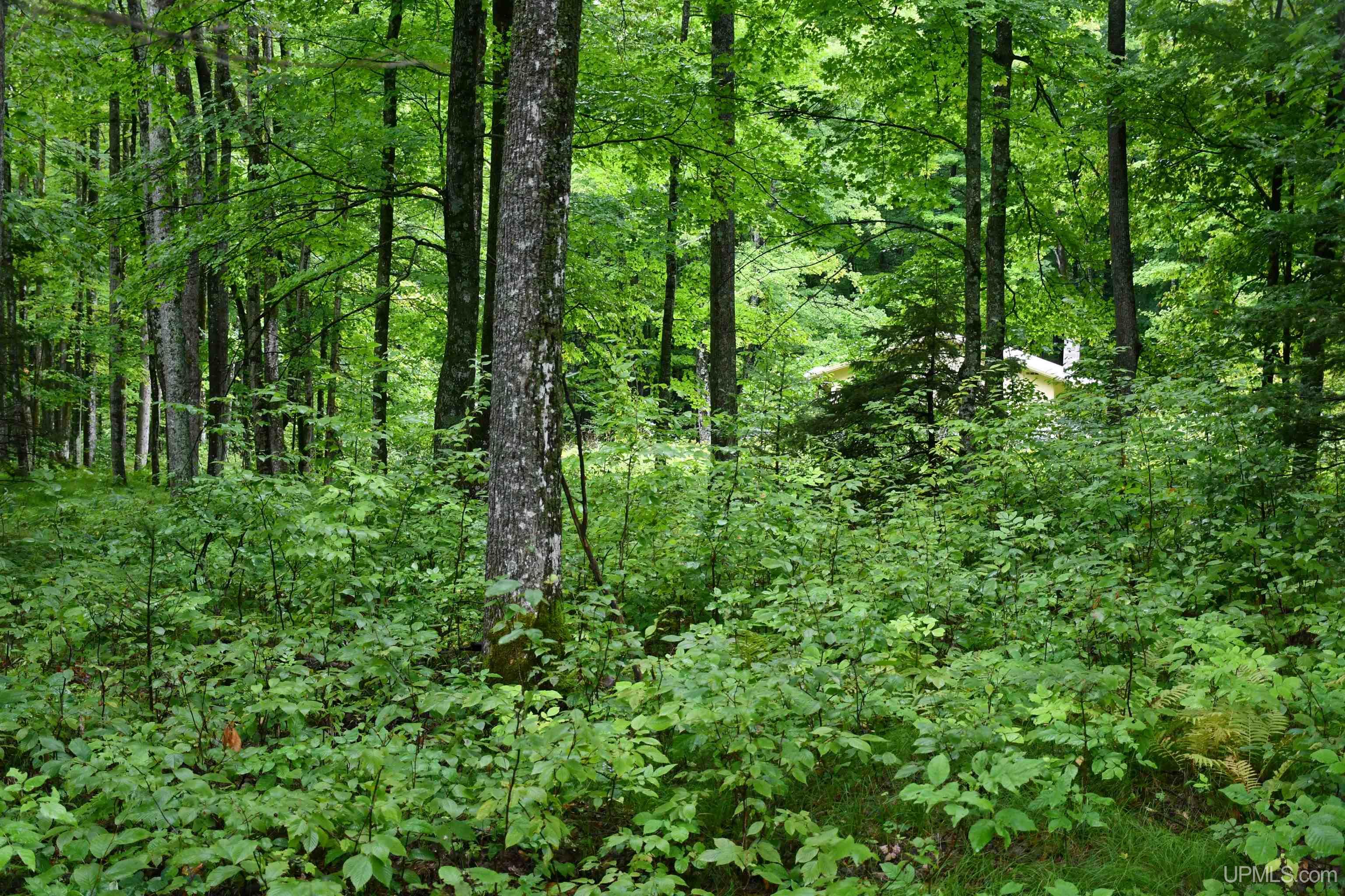 TBD County Line Road, Hardwood, MI, 49807