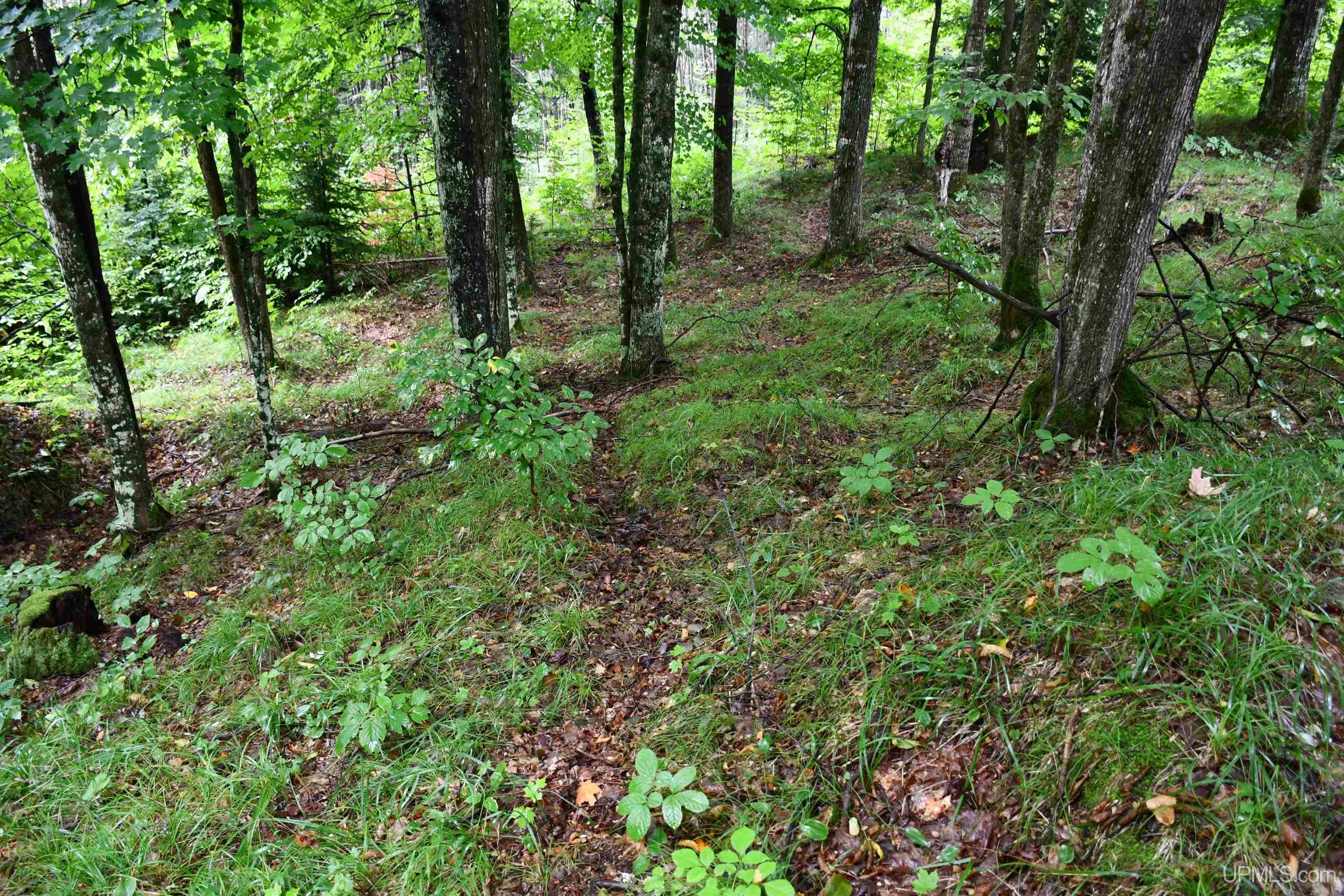 TBD County Line Road, Hardwood, MI, 49807