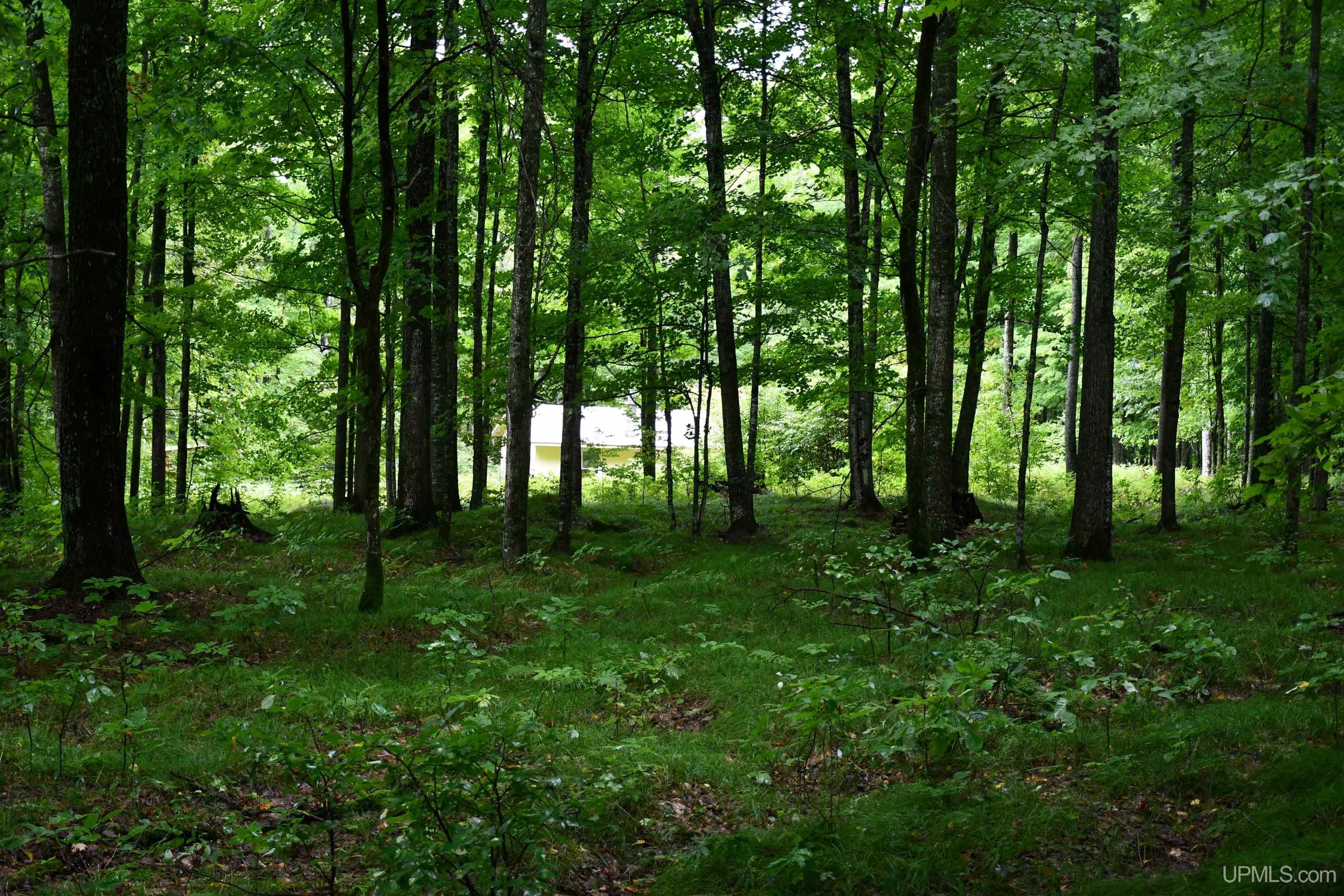 TBD County Line Road, Hardwood, MI, 49807