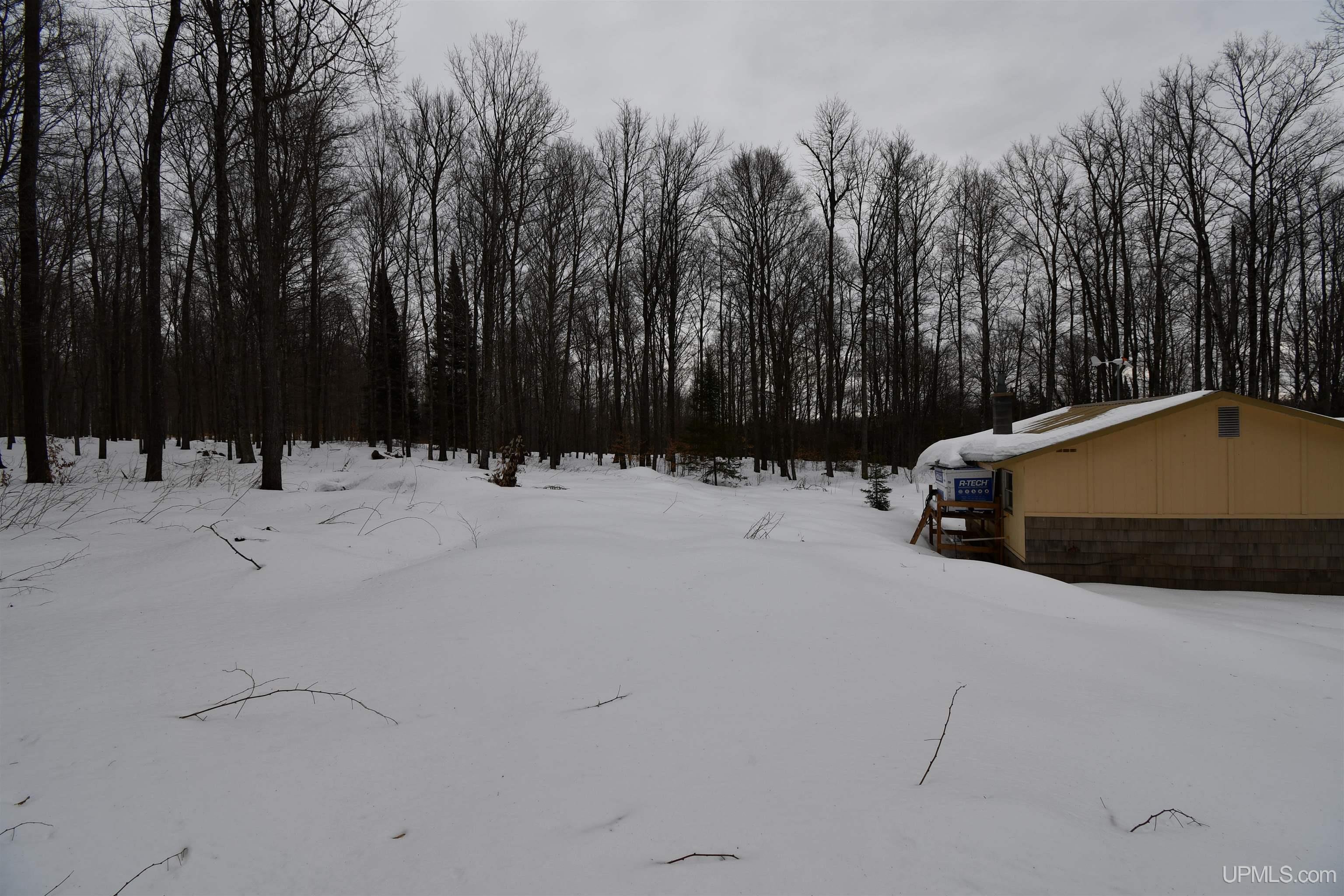 TBD County Line Road, Hardwood, MI, 49807