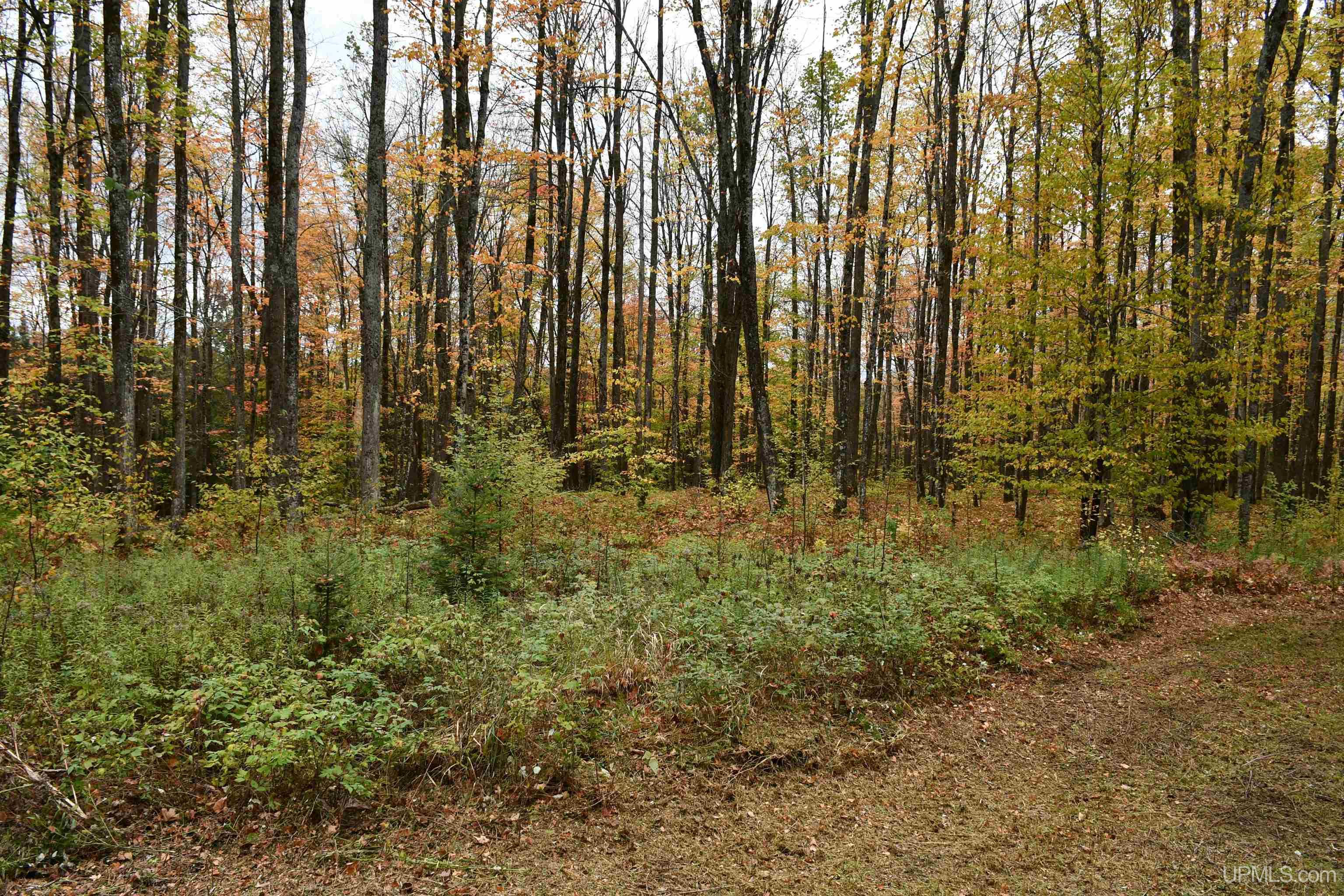 TBD County Line Road, Hardwood, MI, 49807
