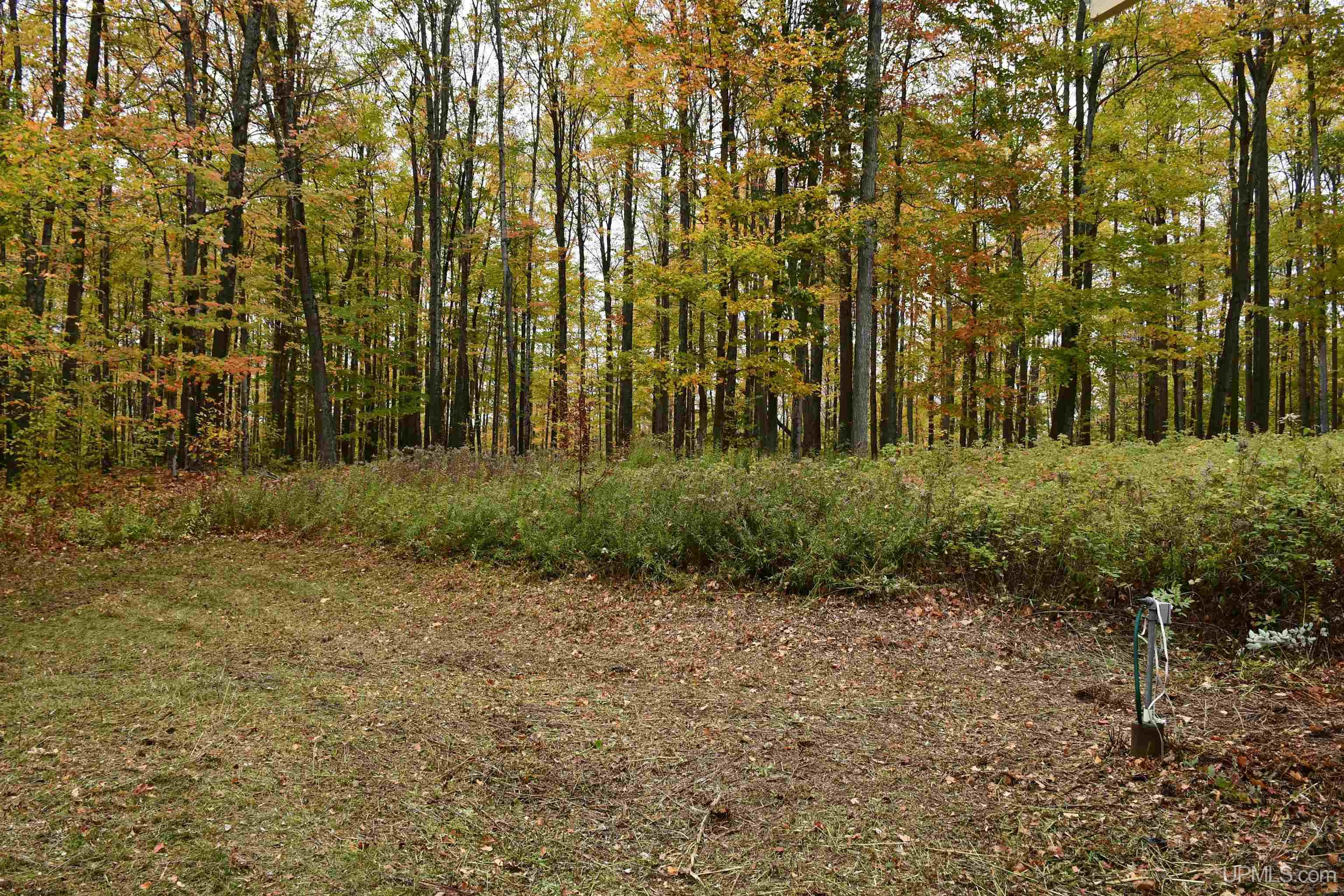 Homes for sale in Hardwood, MI | Tbd County Line Rd, Hardwood, MI 49807 | MLS# 50199715