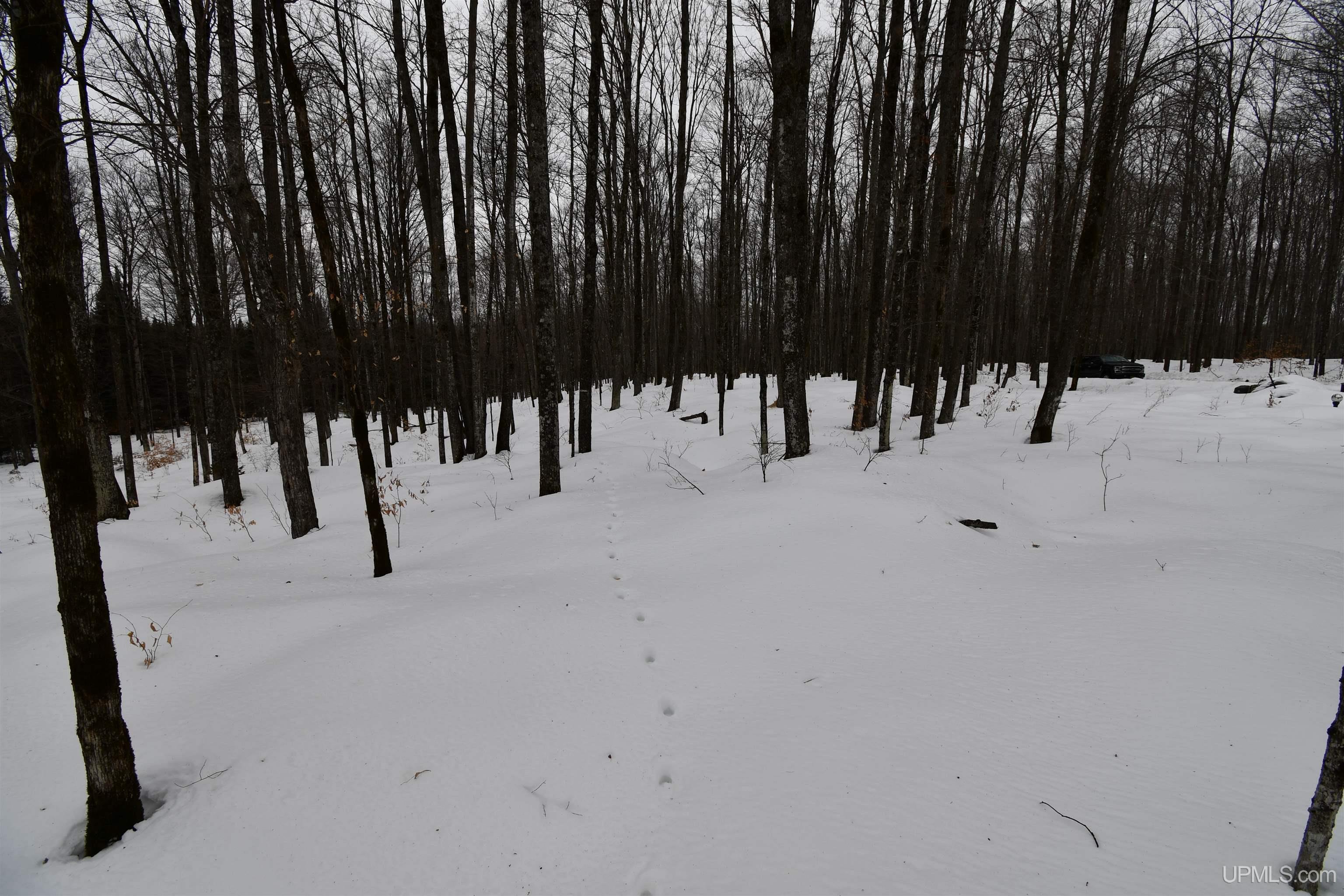 TBD County Line Road, Hardwood, MI, 49807