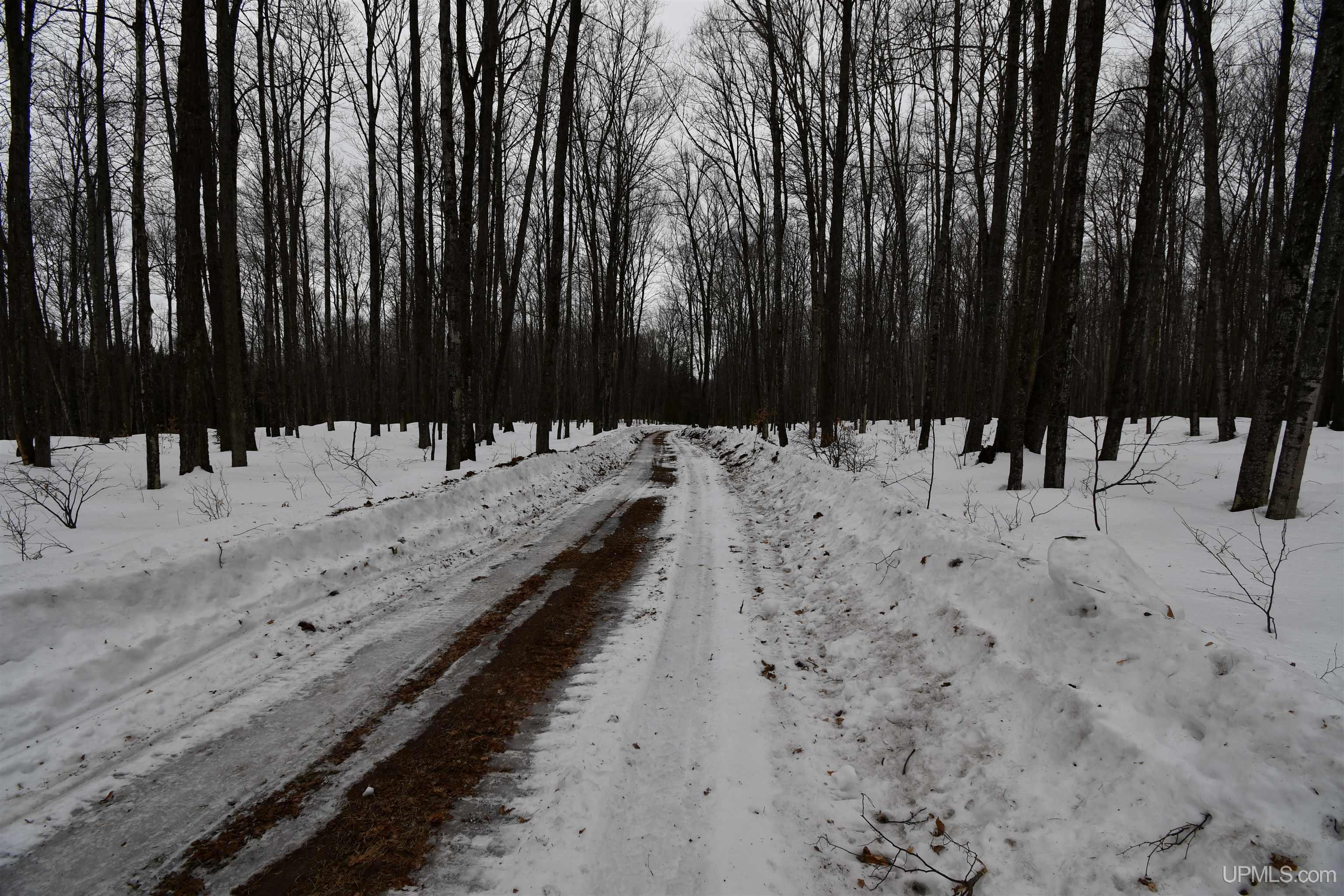 TBD County Line Road, Hardwood, MI, 49807