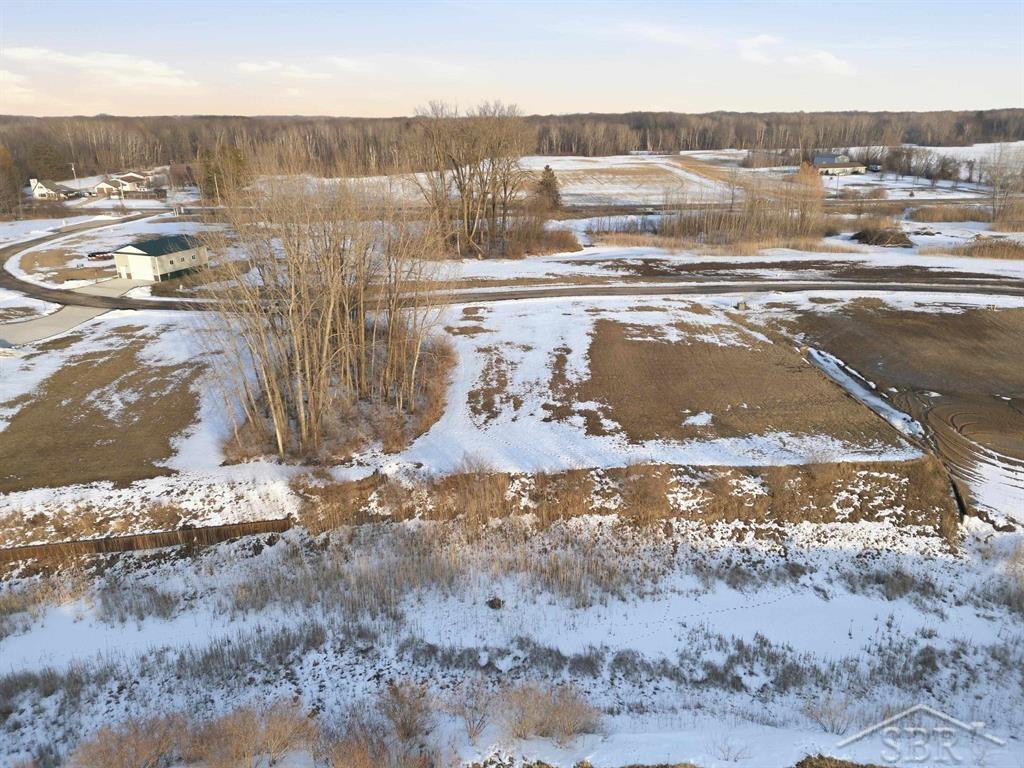 Homes for sale in Hope, MI | Lot 9 E Shoreline Dr, Hope, MI 48628 | MLS# 50199733