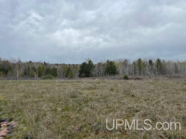 MLS 50199739 Large photo number 37 