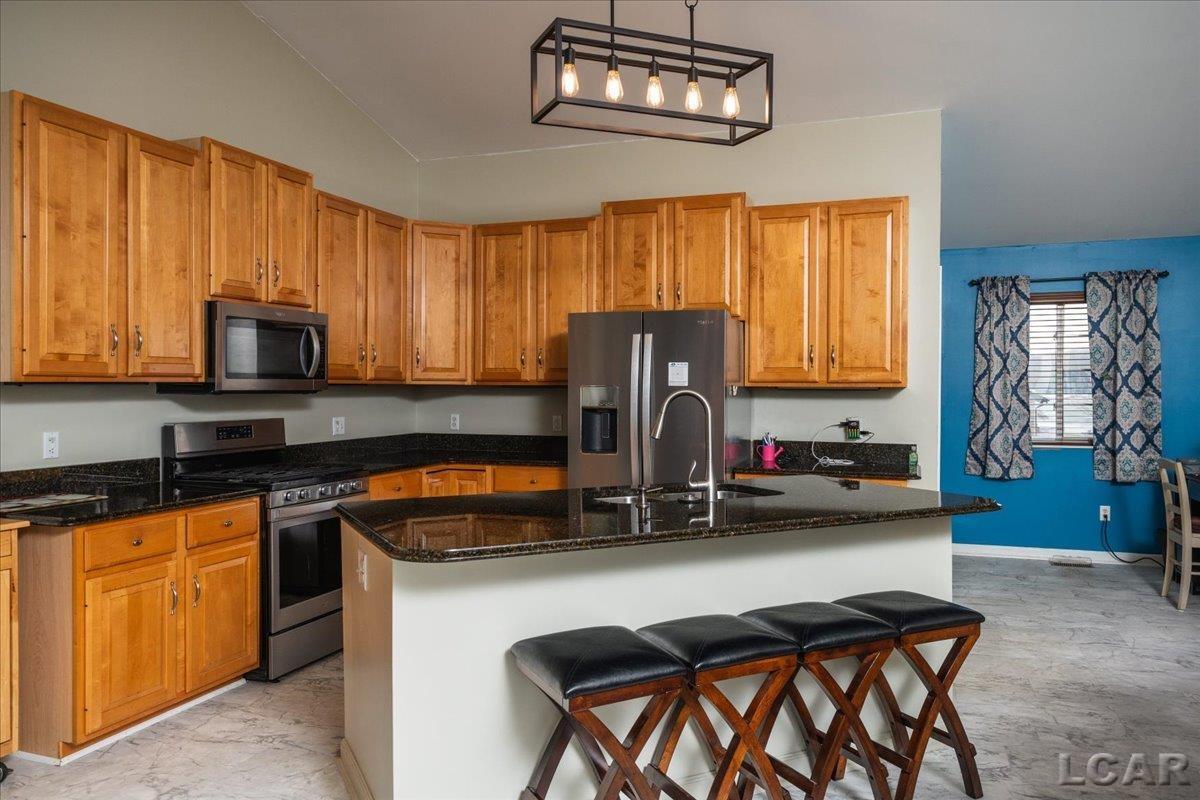 8266 Irish Mist Drive, Onsted, MI, 49265