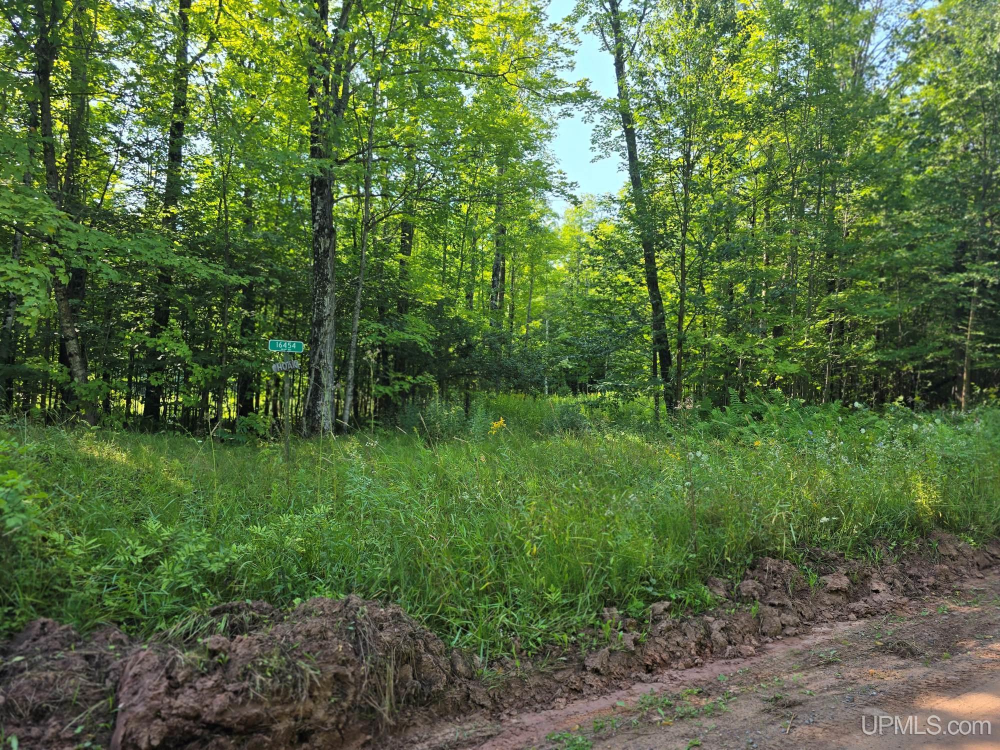 MLS 50199834 Large photo number 13 