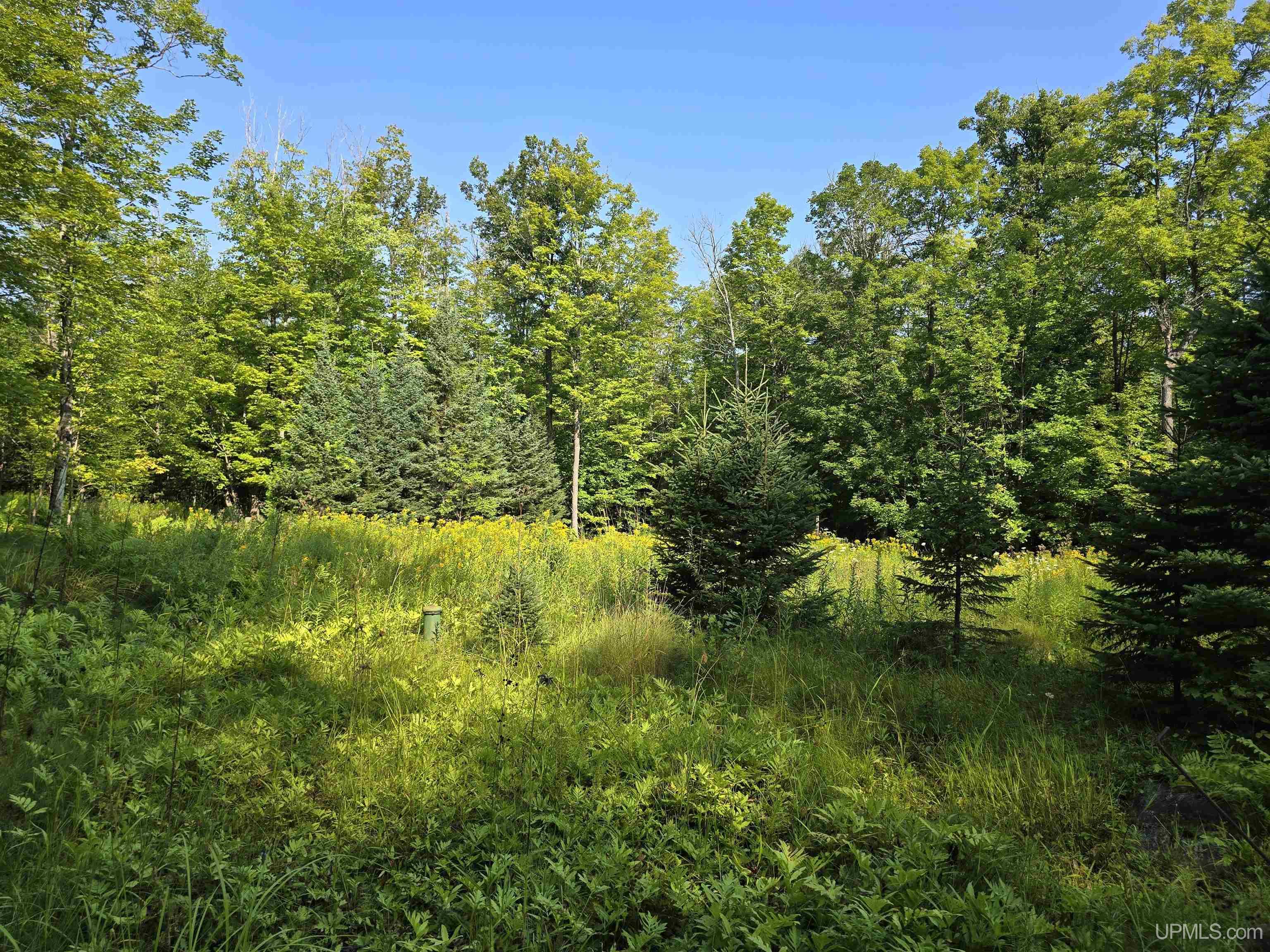 MLS 50199834 Large photo number 45 